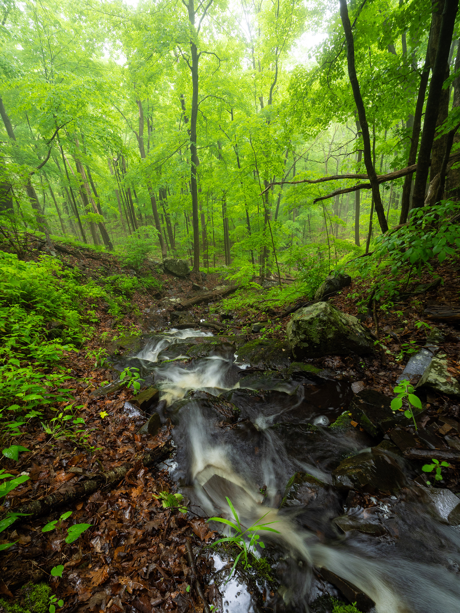 Stair Brook Falls