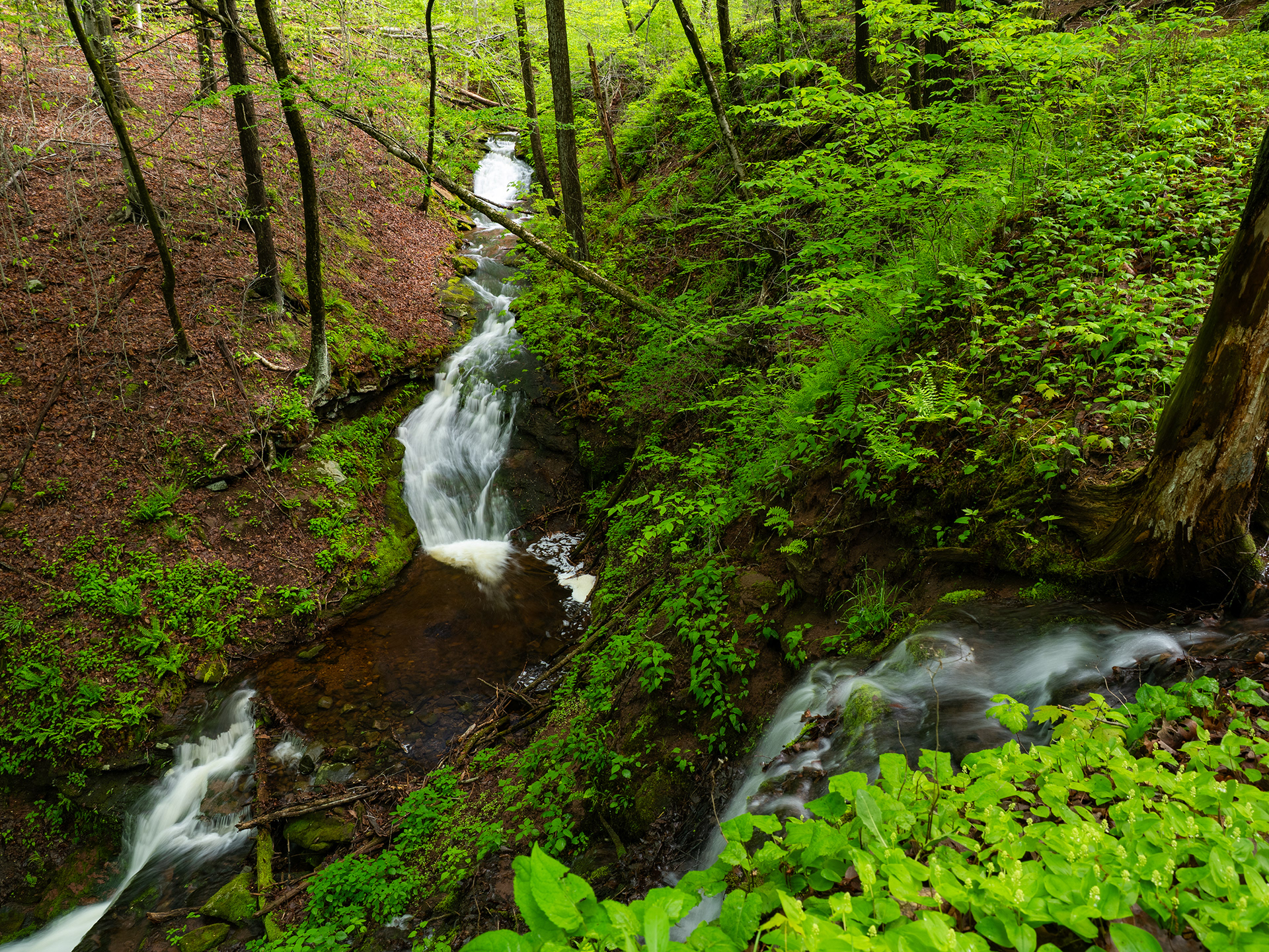 Sleeping Giant State Park