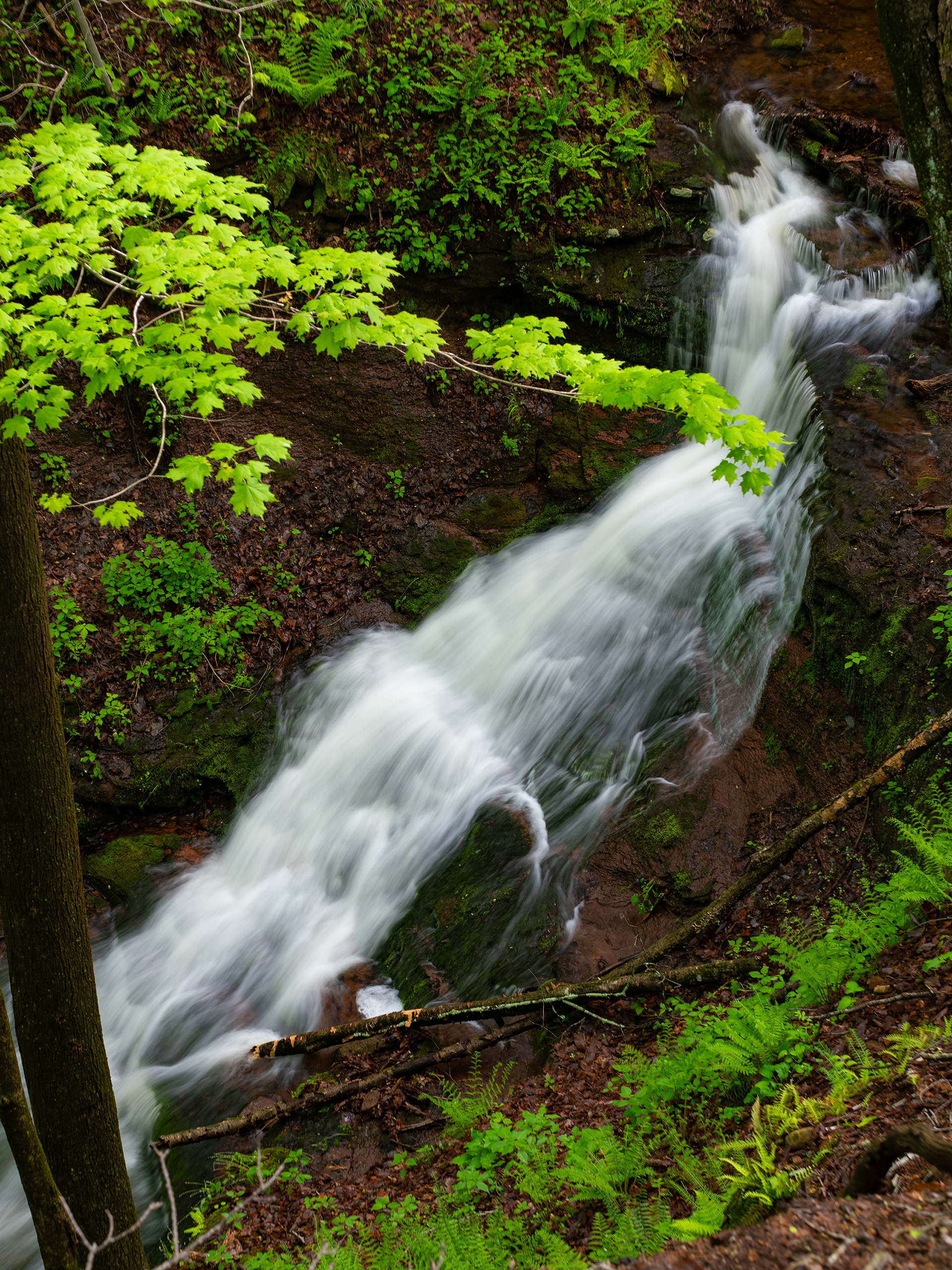 Sleeping Giant State Park