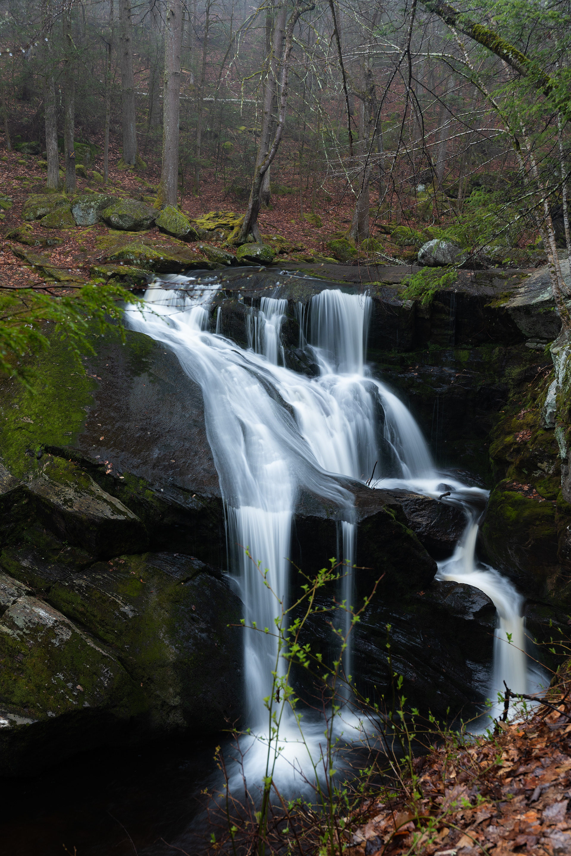 Enders Falls