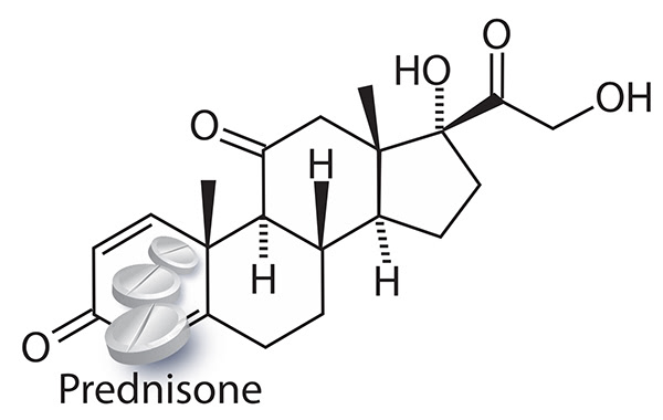 Prednisone chemical structure