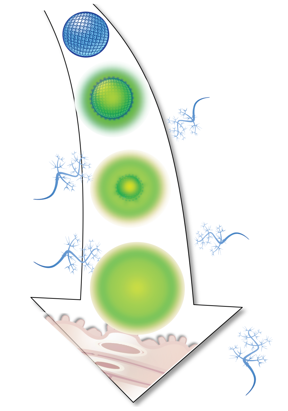Dissolving nanoparticle