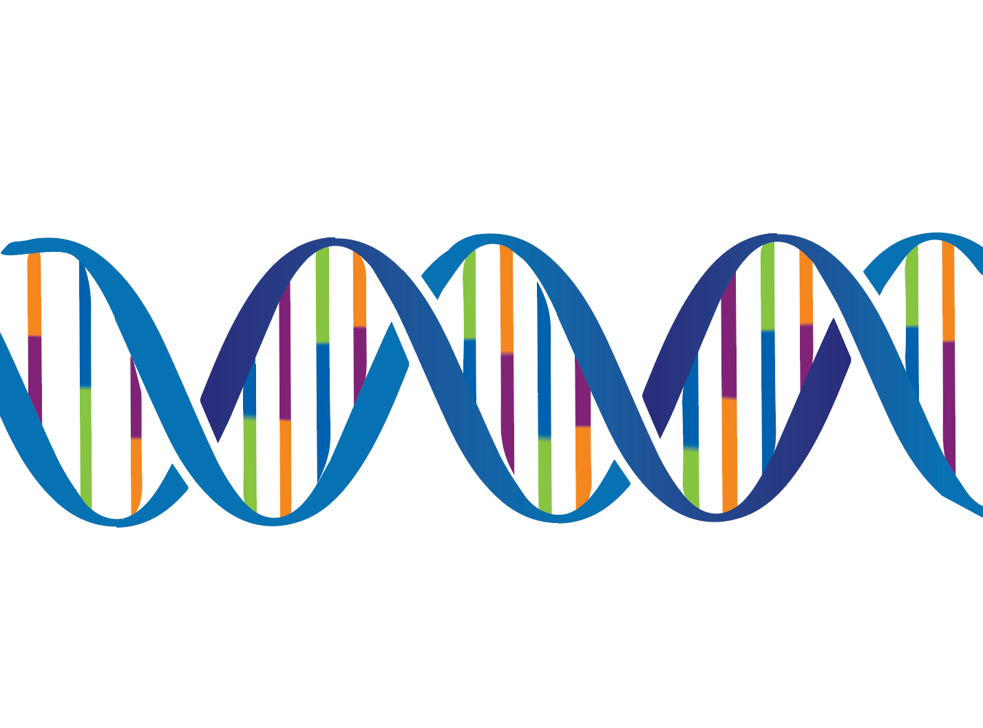 DNA