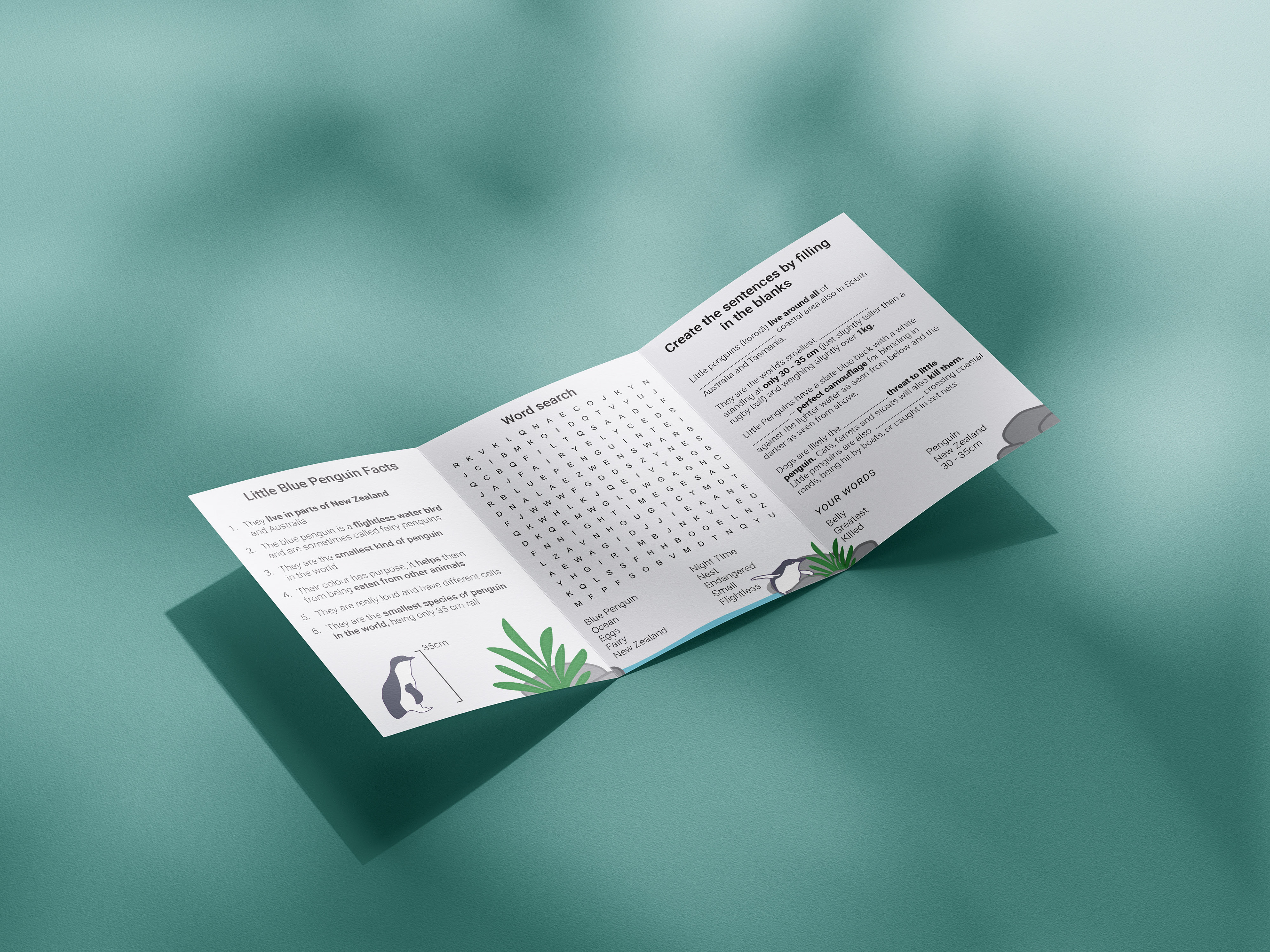 Kids interactive booklet to inform them about Korora
