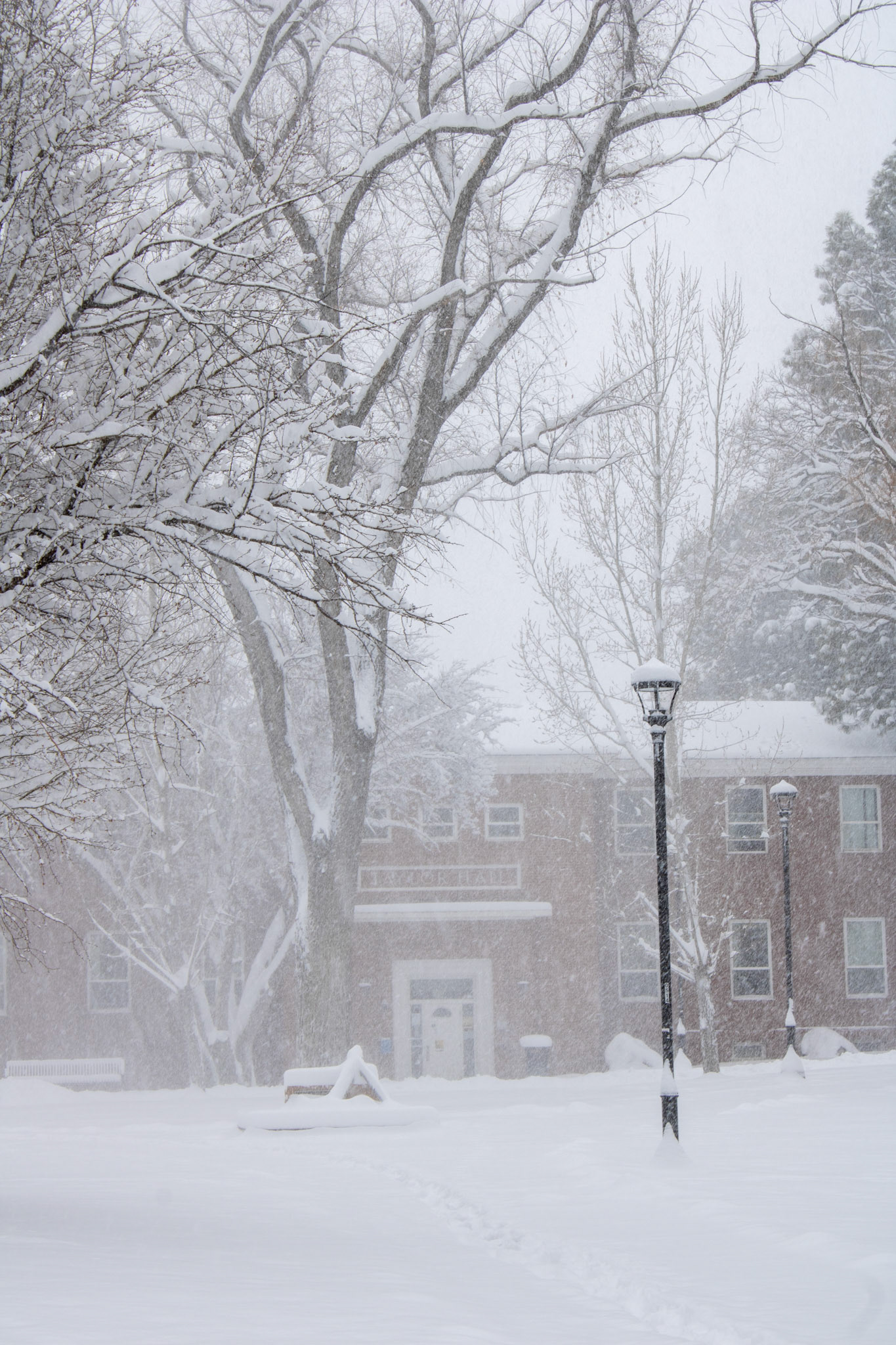 NAU North Quad during a snow storm. 