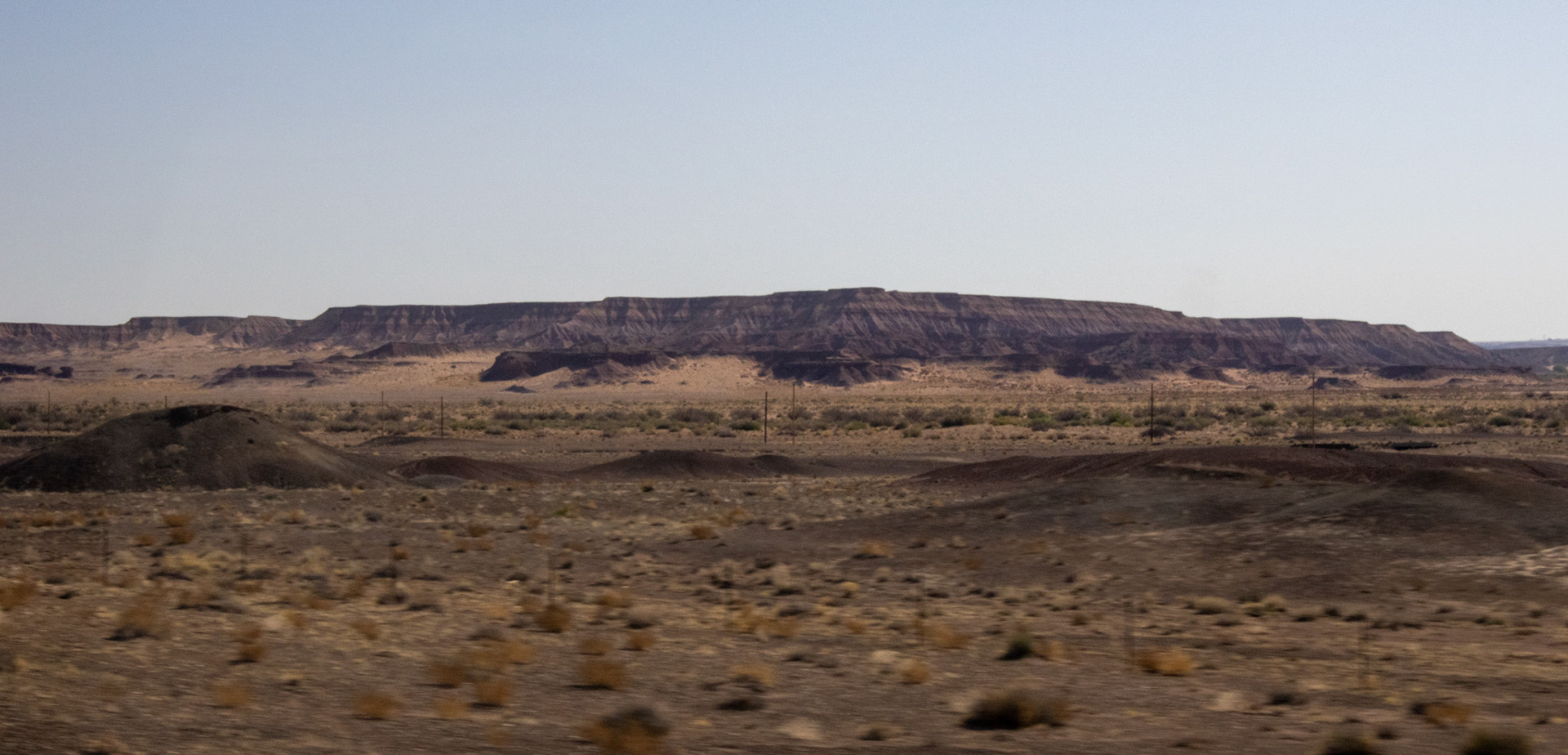 Arizona desert landscape. 