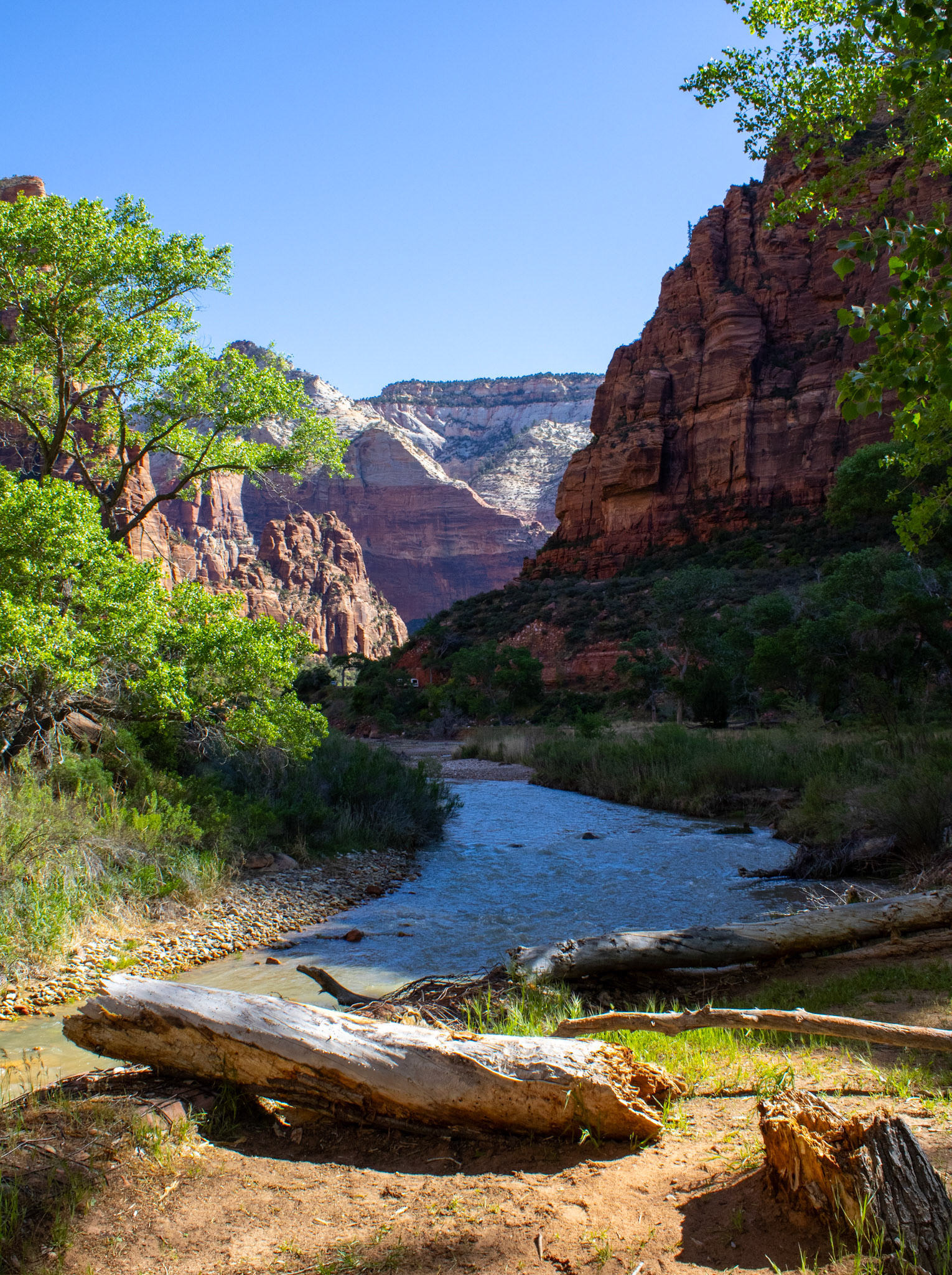 River running through Zion. 