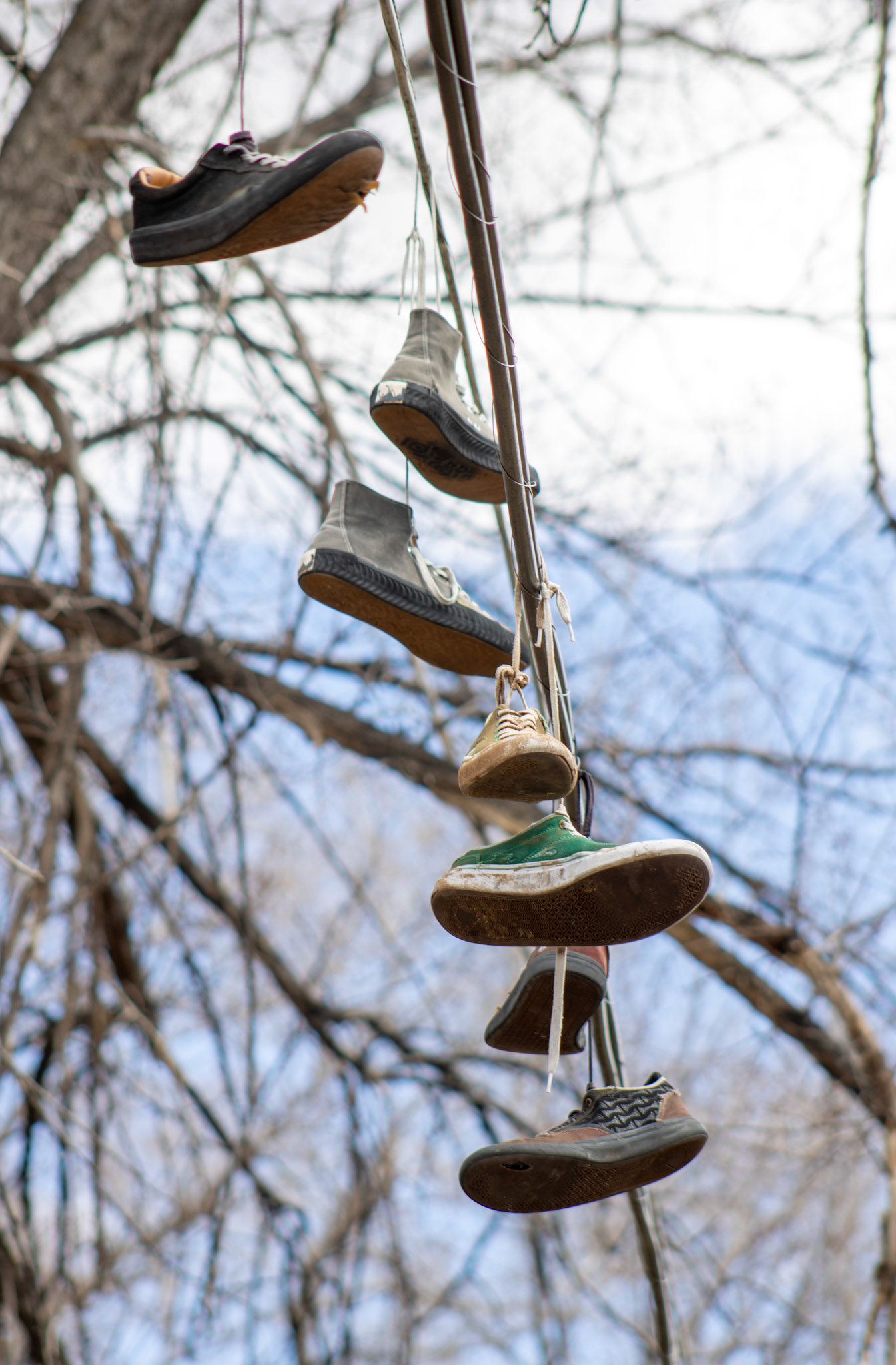 Shoes hung from a power line. 