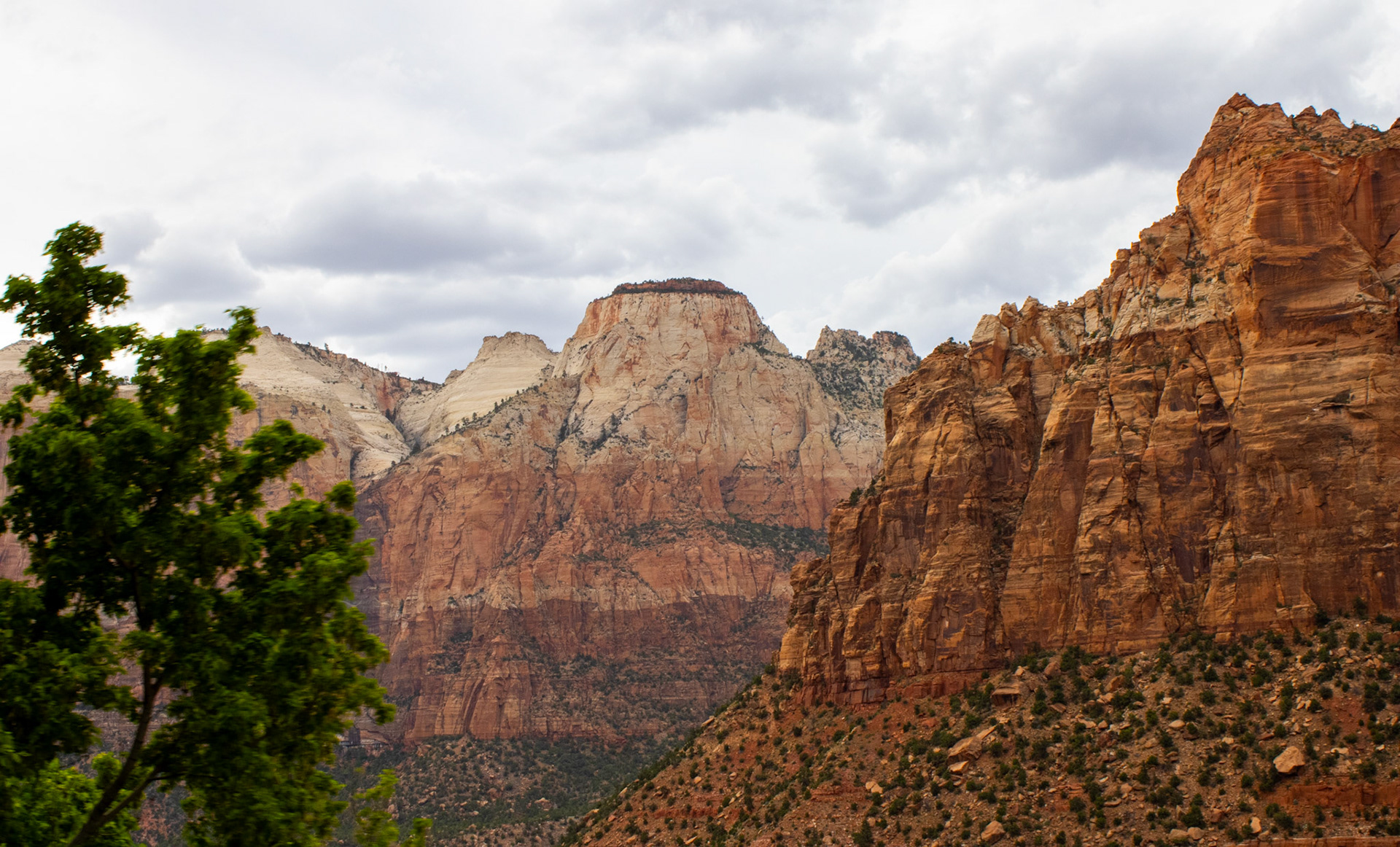 Zion canyons by the roadside. 