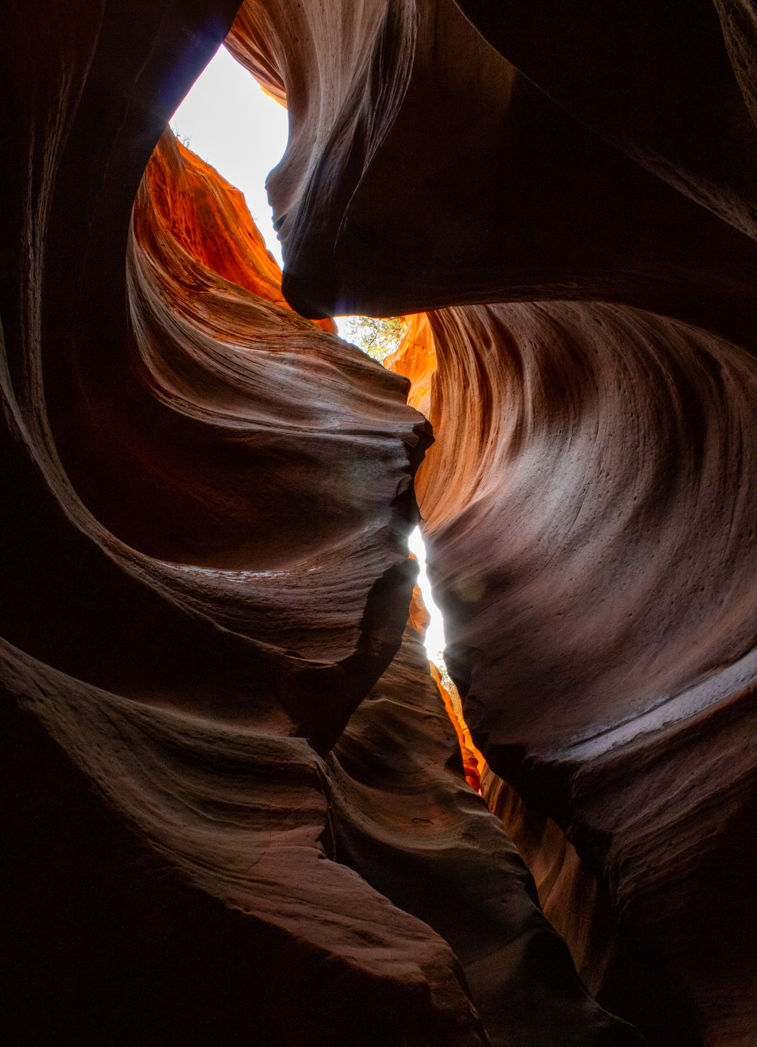 Inside canyons of Zion. 
