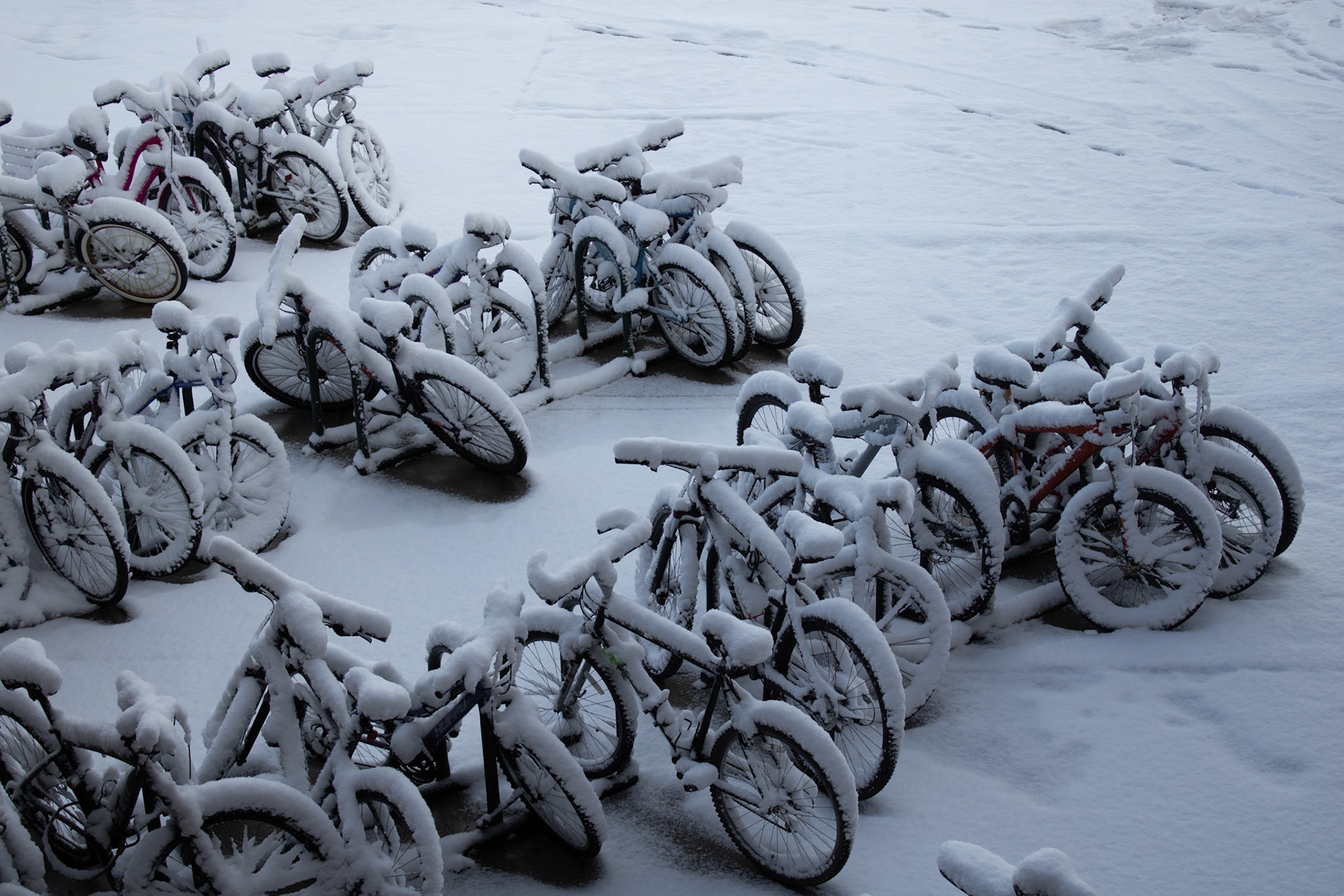 Bike rack after snow storm. 