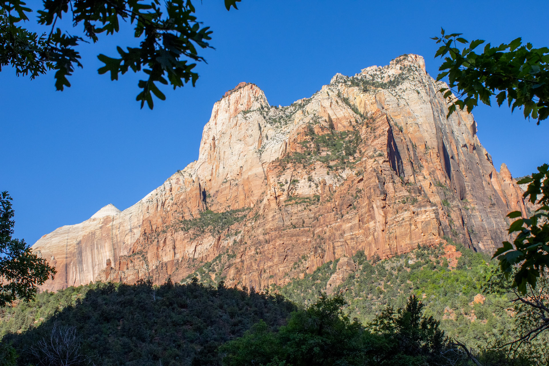 Zion canyons by the roadside. 