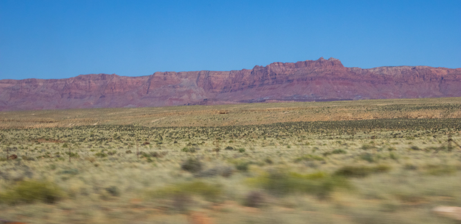 Arizona desert landscape. 