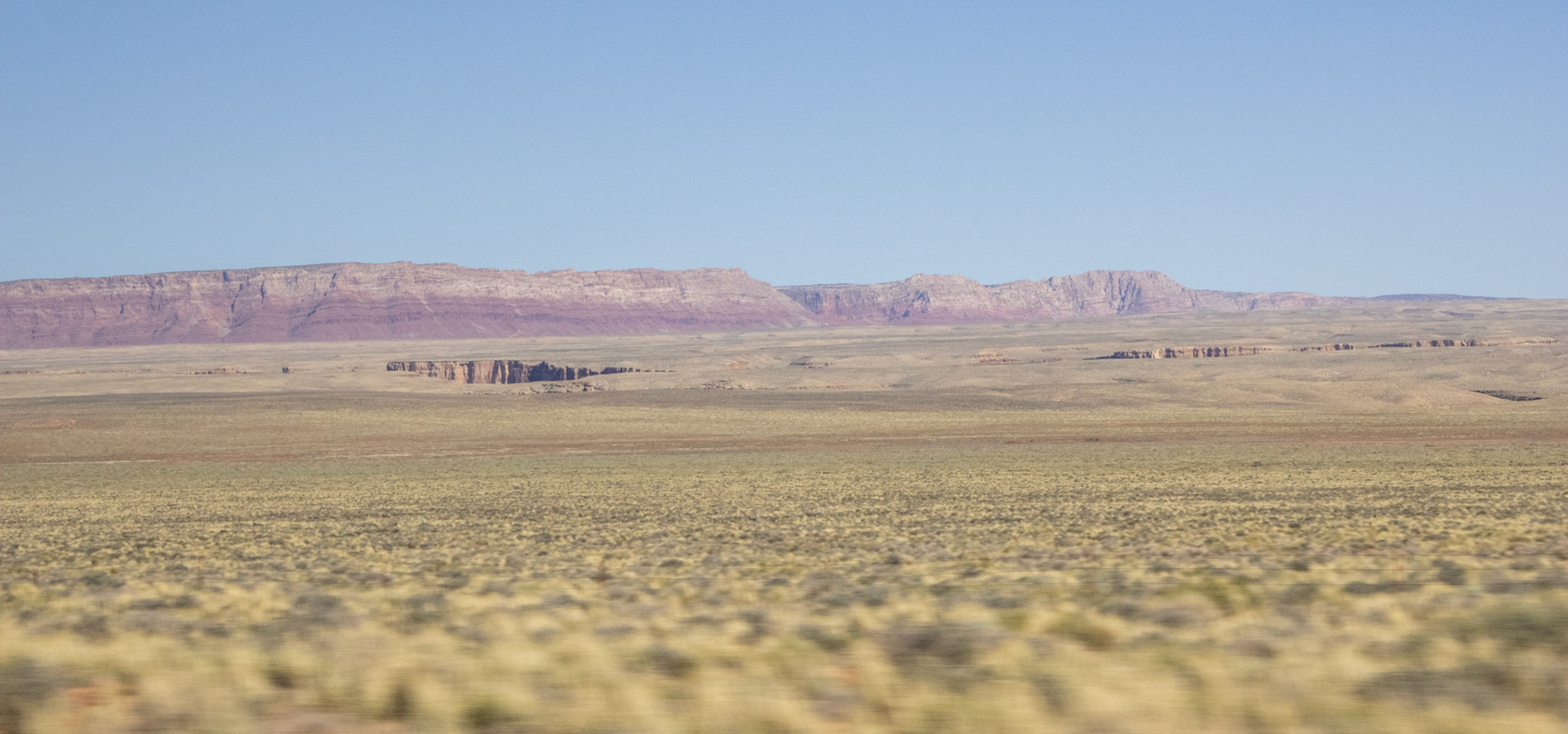 Arizona desert landscape. 