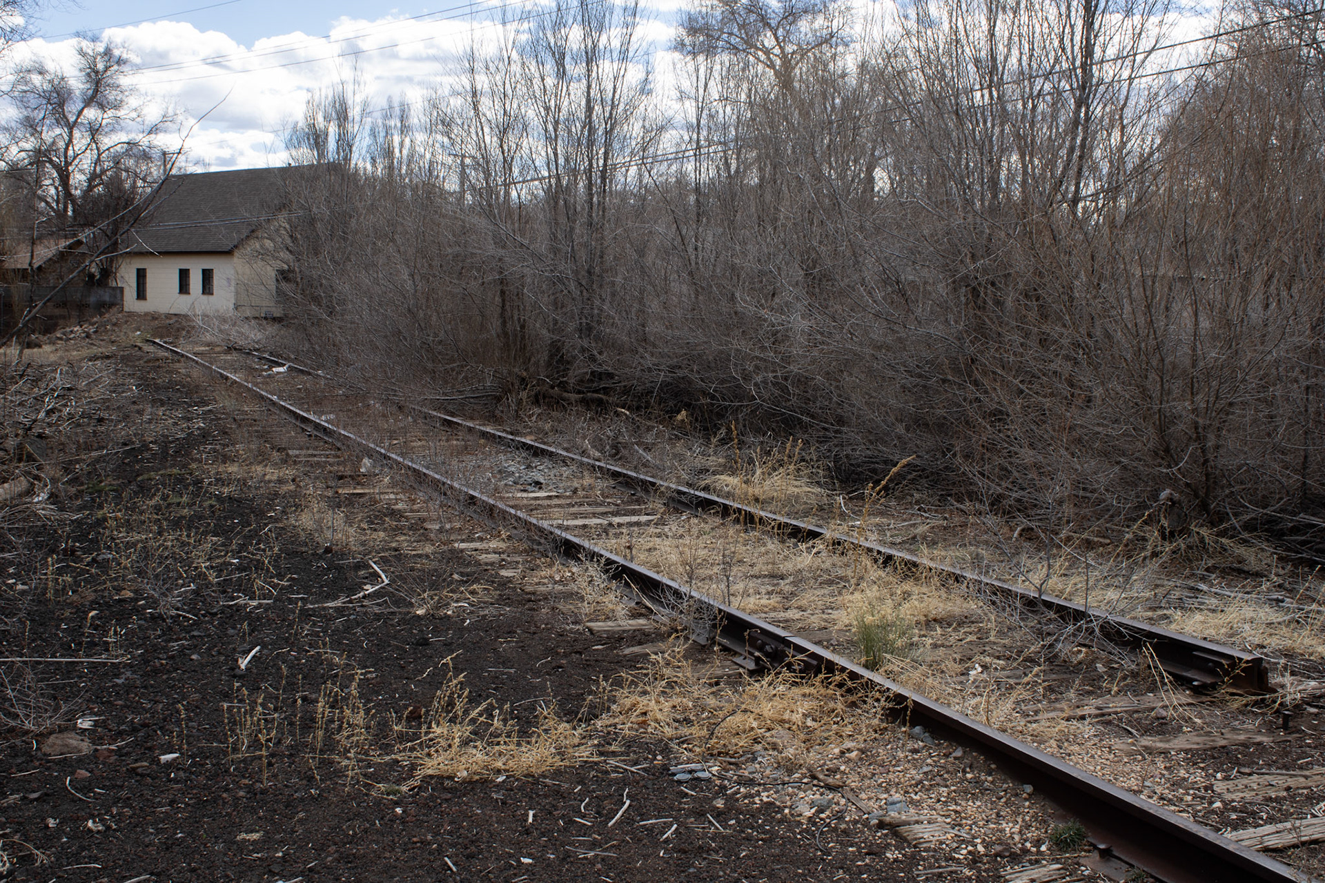 Abandoned railway beside housing. 