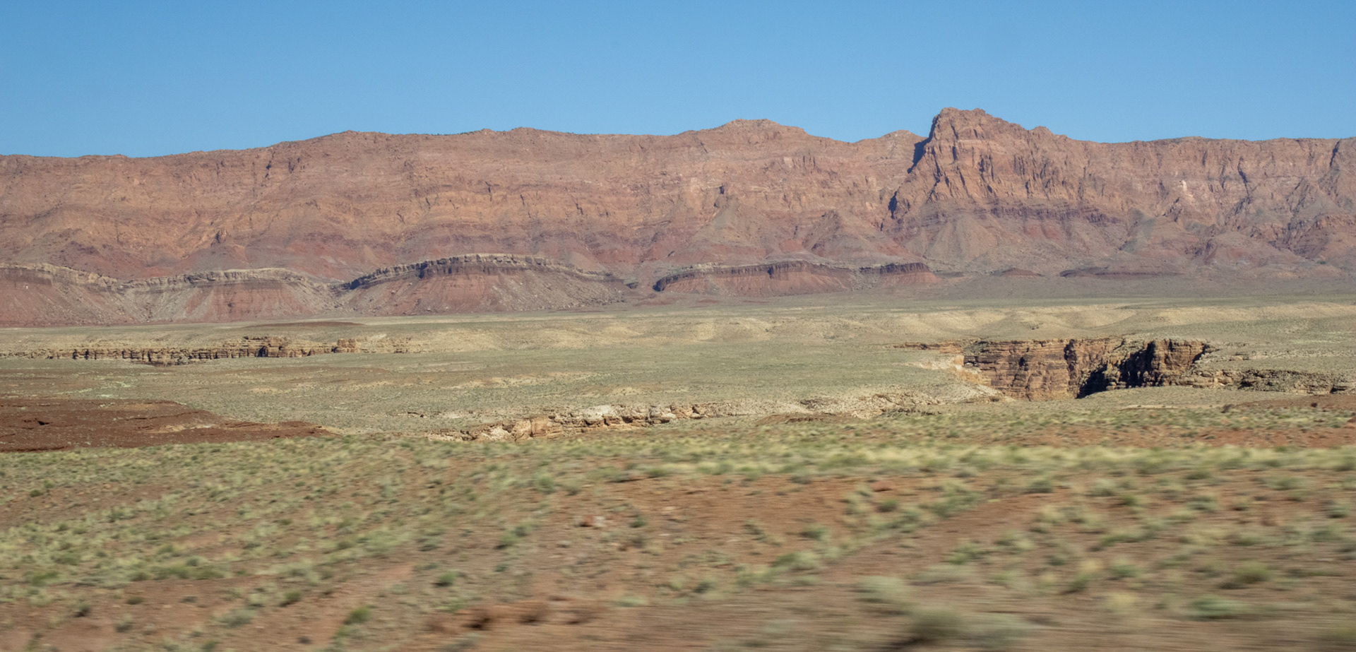 Arizona desert landscape. 