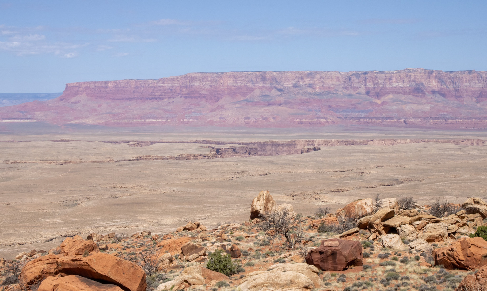 Arizona desert landscape. 