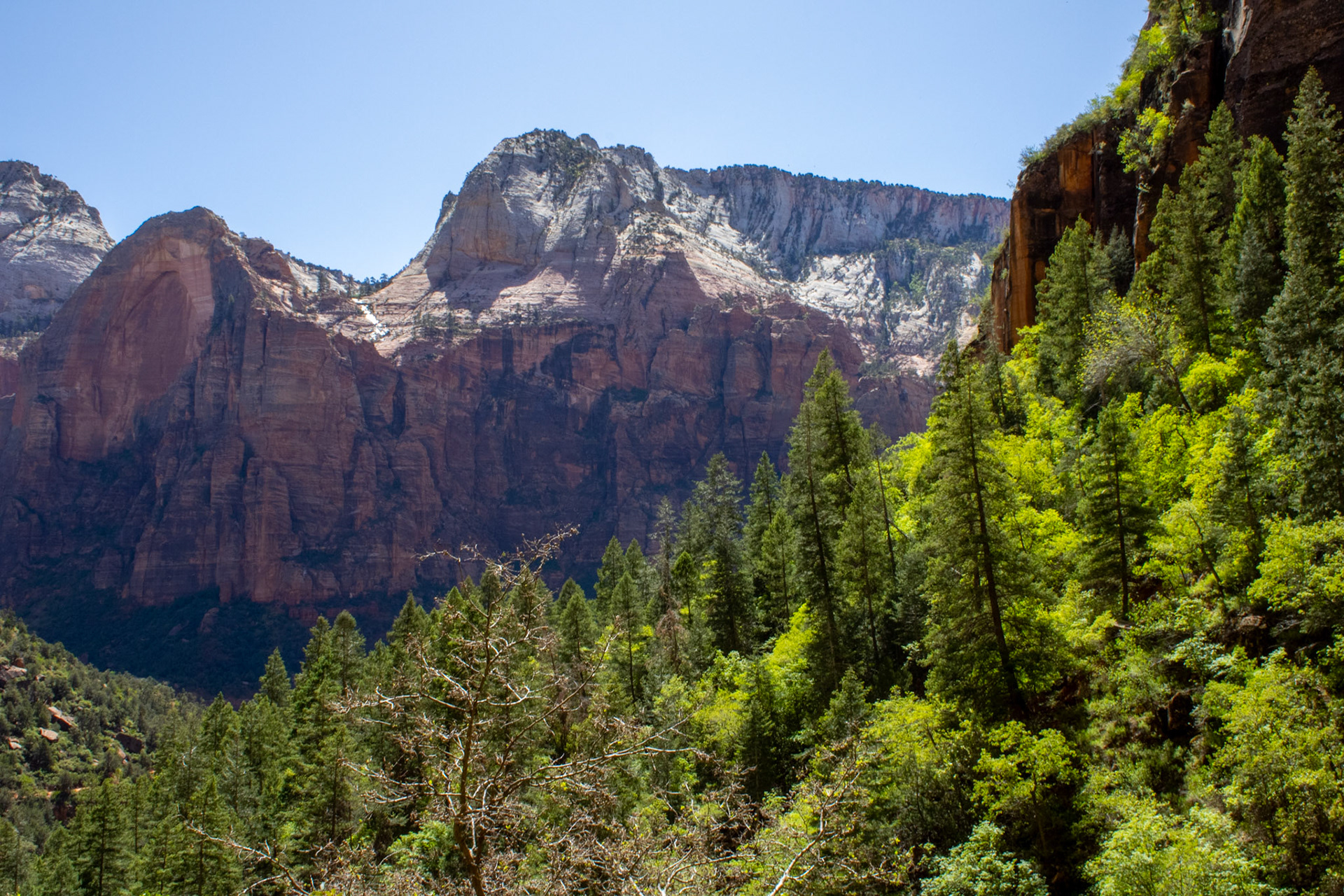 Canyon view from Emerald Pools. 