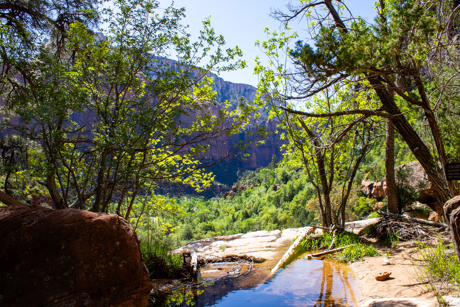 Canyon and pool view from Lower Emerald Pool. 