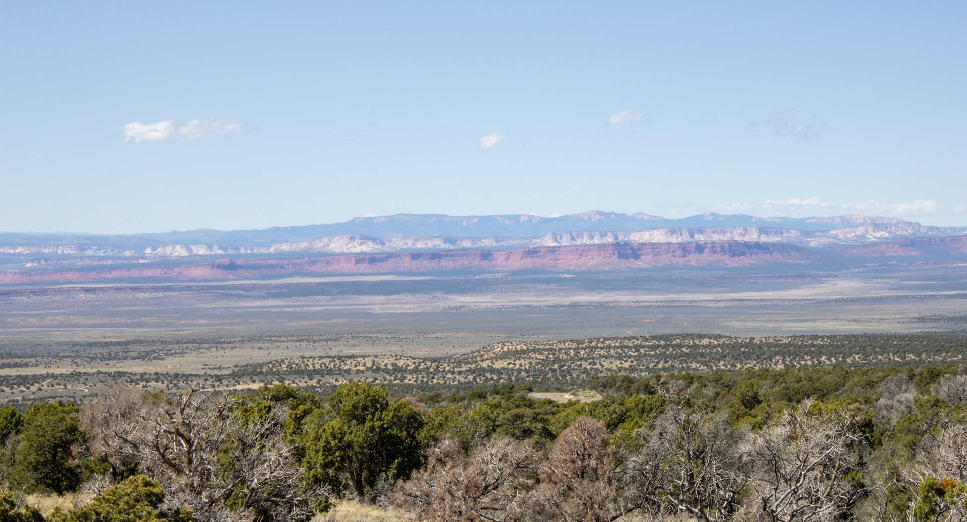 Arizona desert landscape. 
