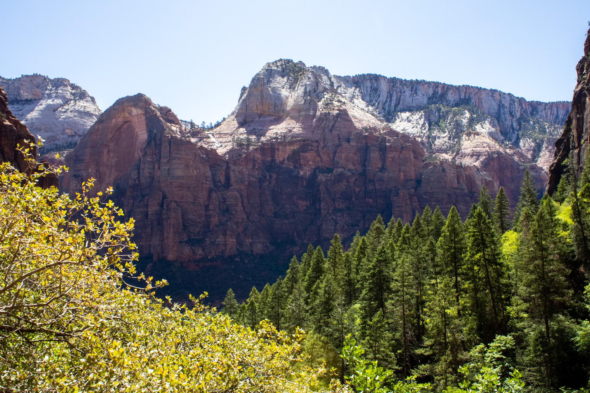 Canyon view from Emerald Pools. 