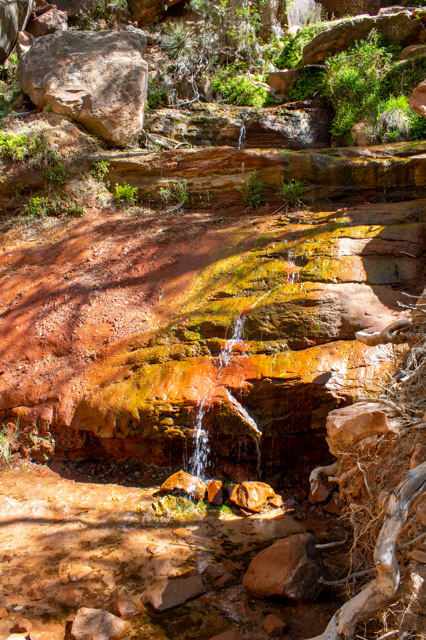 Water running down rocks on trail. 
