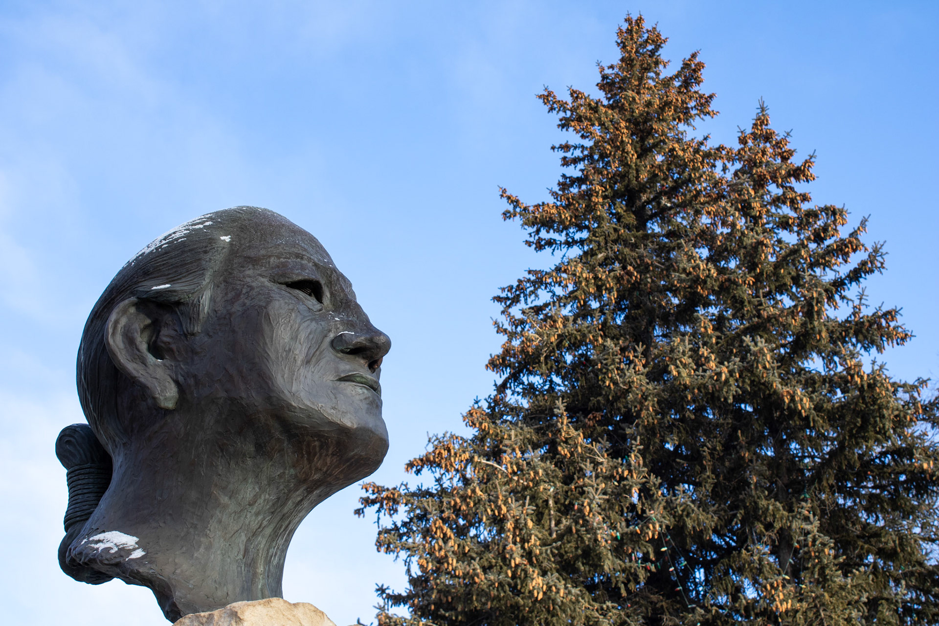 NAU Navajo Code Talker Monument in front of tree. 