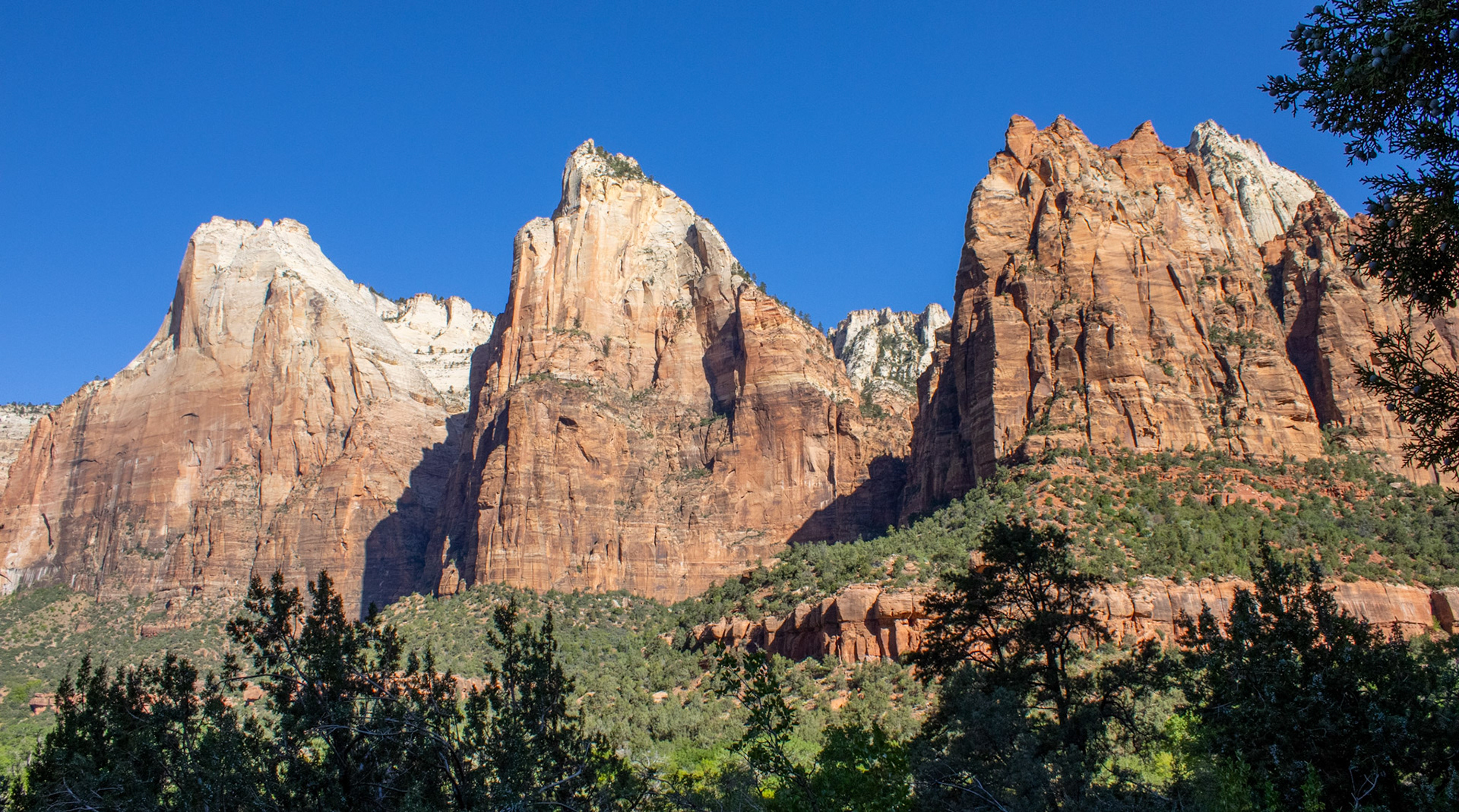 Zion canyons by the roadside. 