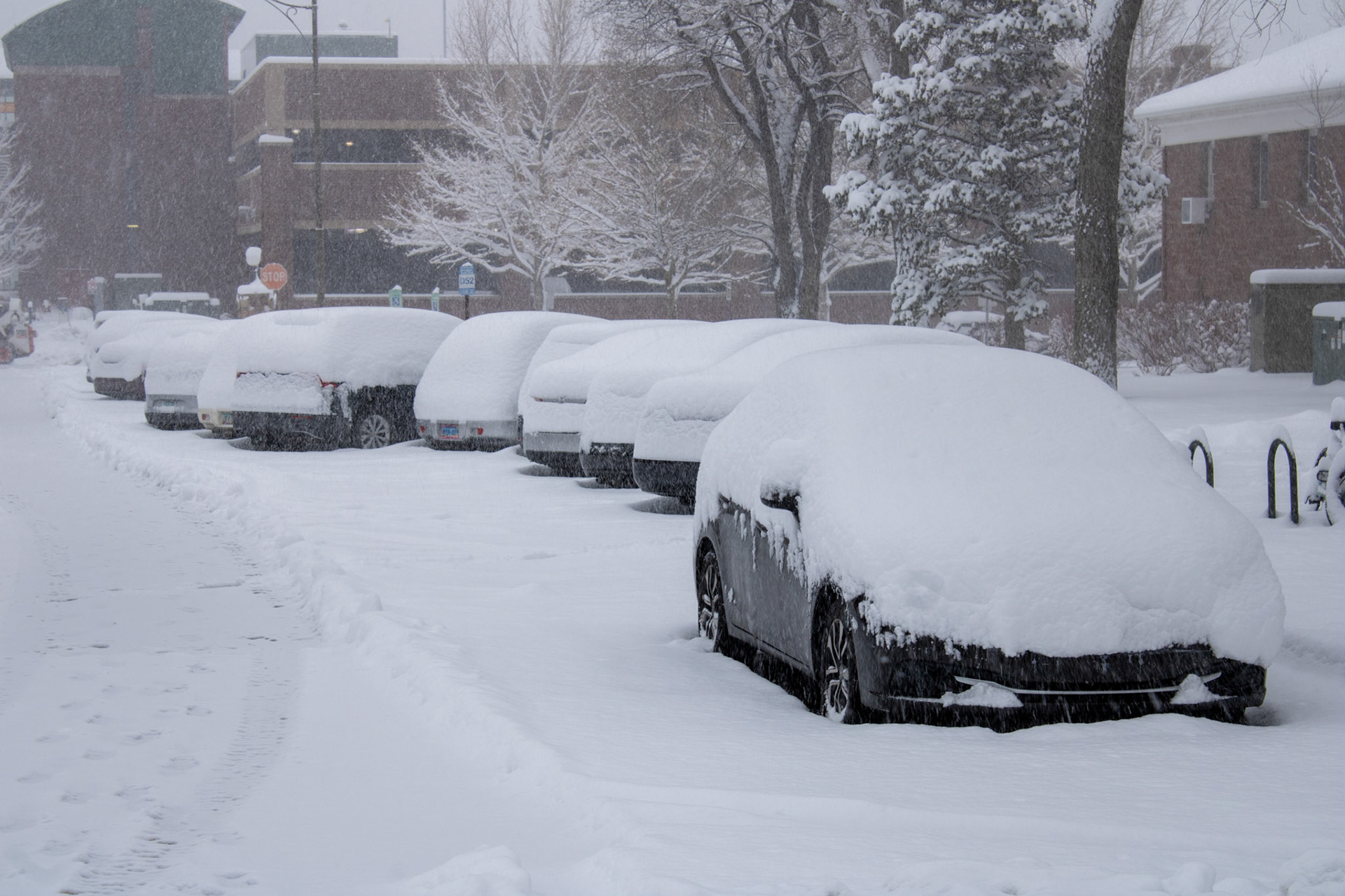 Parked cars covered in fresh snow. 