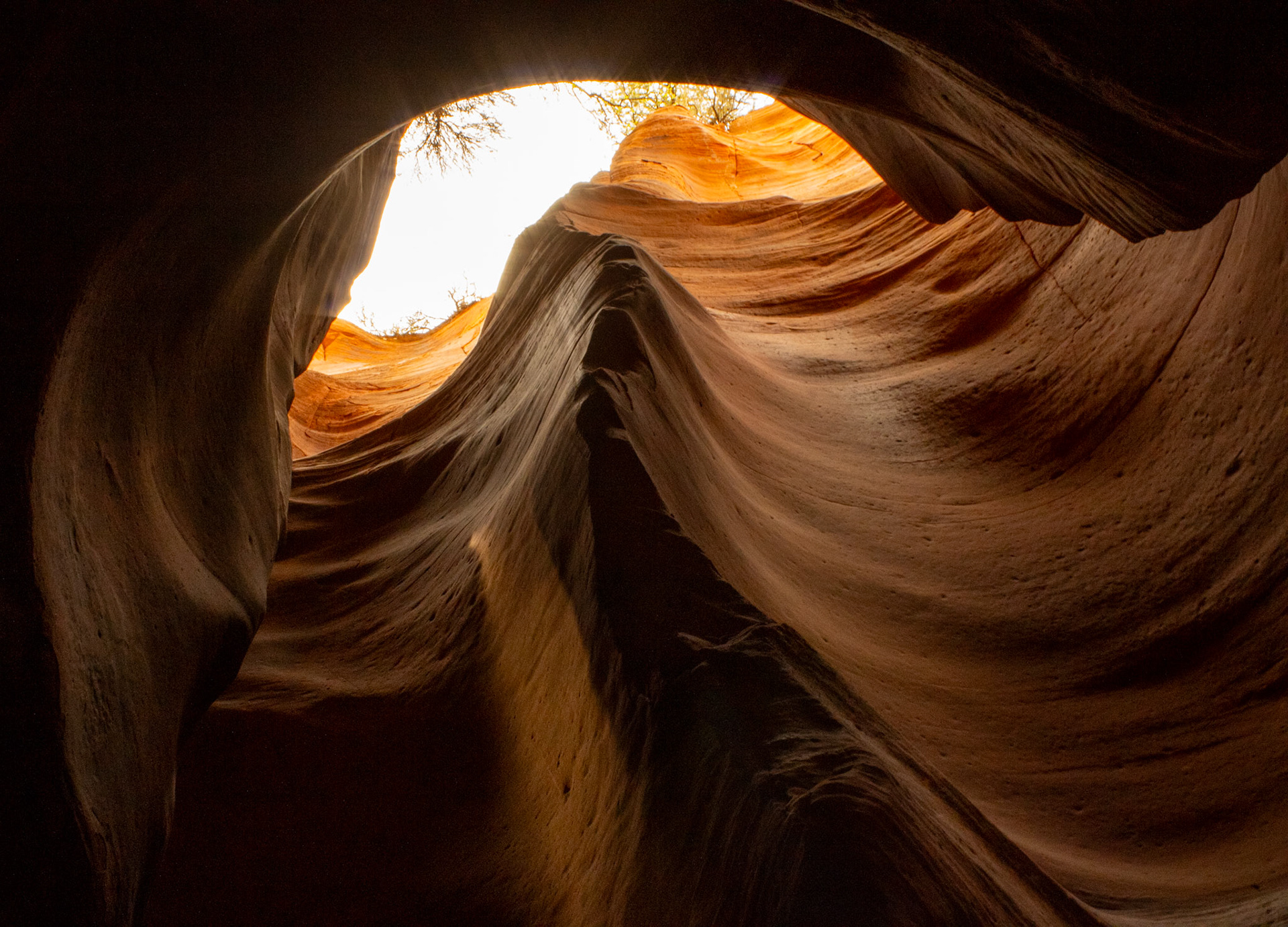 Inside canyons of Zion. 