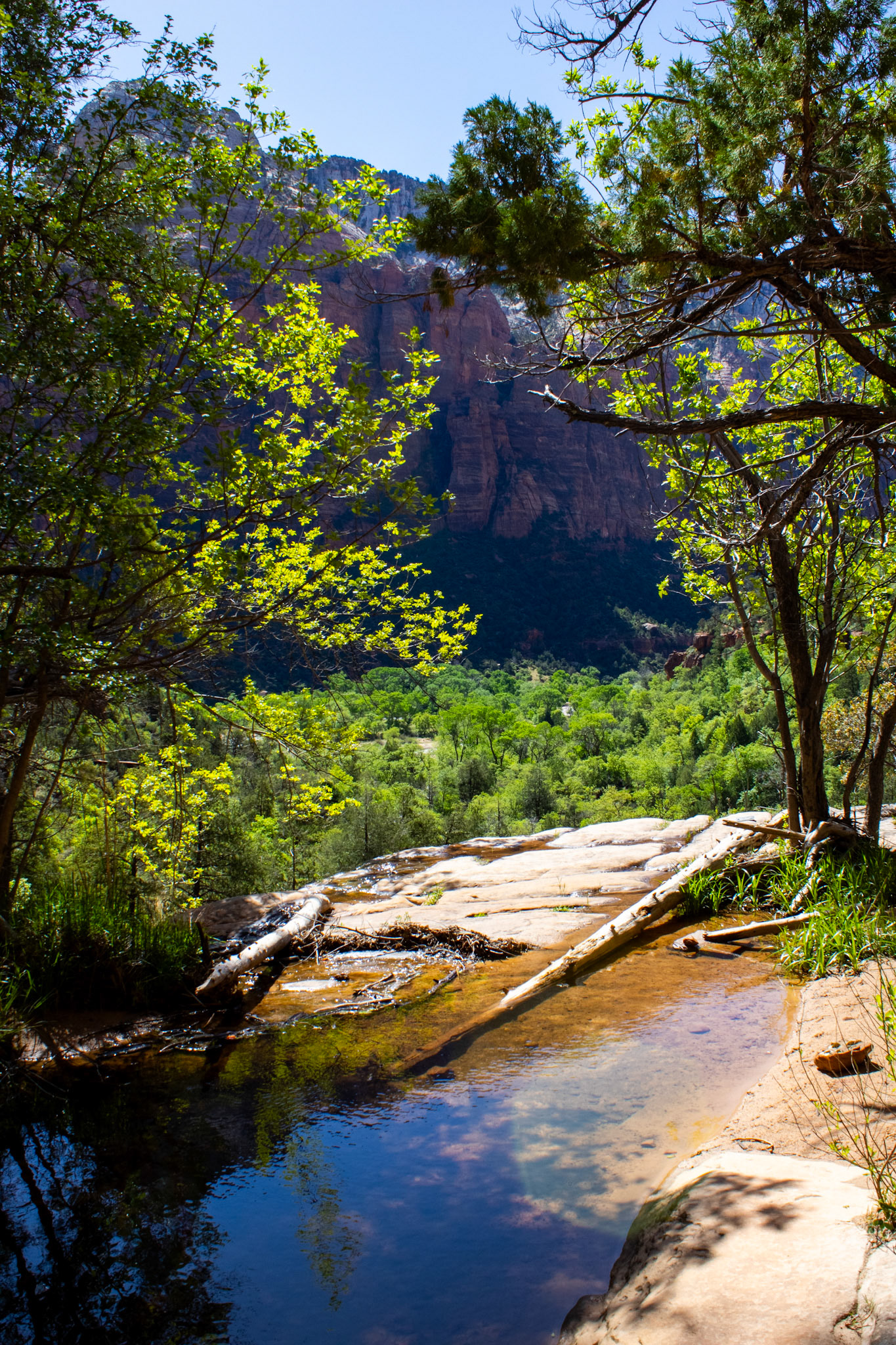 Canyon and pool view from Lower Emerald Pool. 