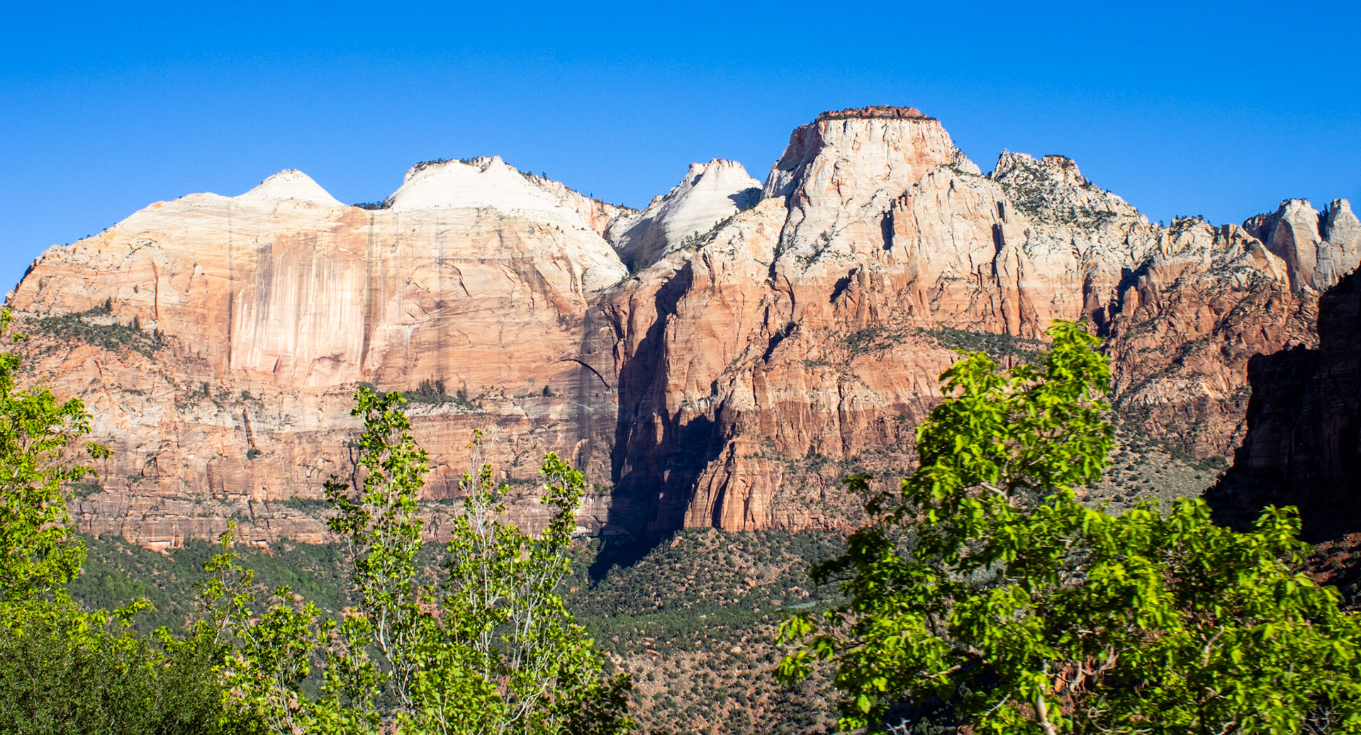 Zion canyons by the roadside. 