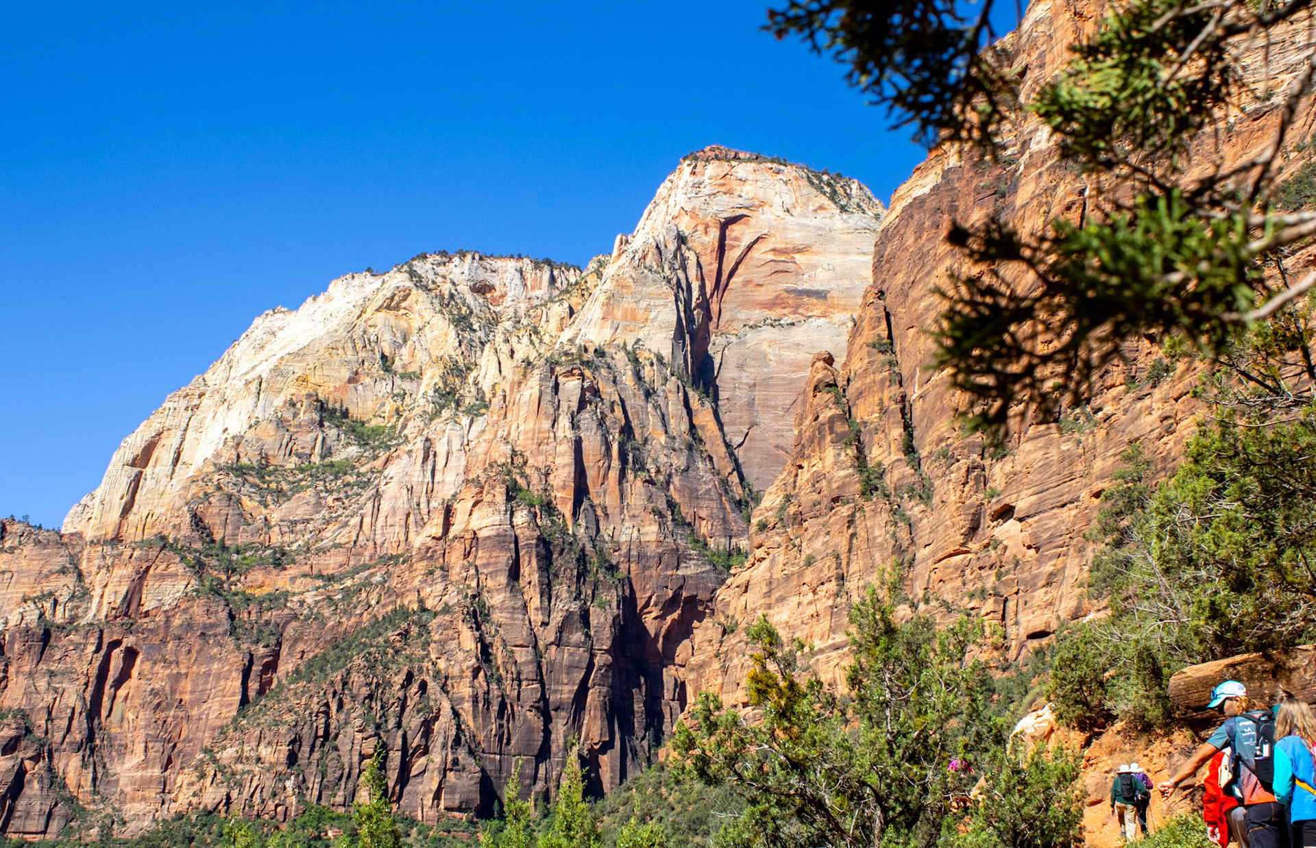 Canyon view from hiking trail. 
