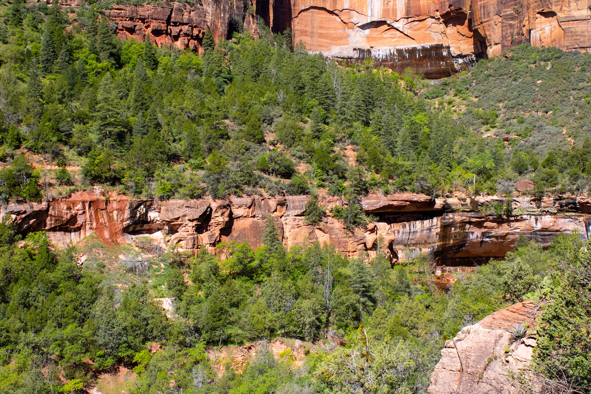 Canyon view from hiking trail. 