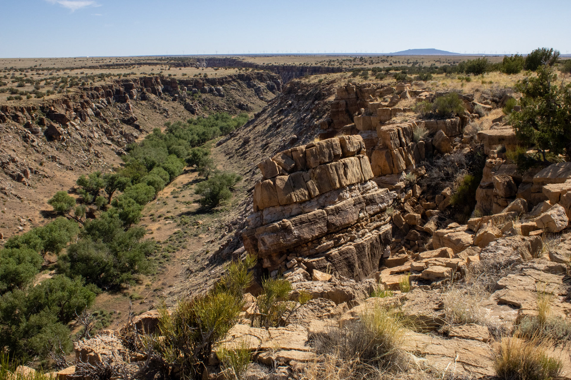Canyon view from a cliffside. 