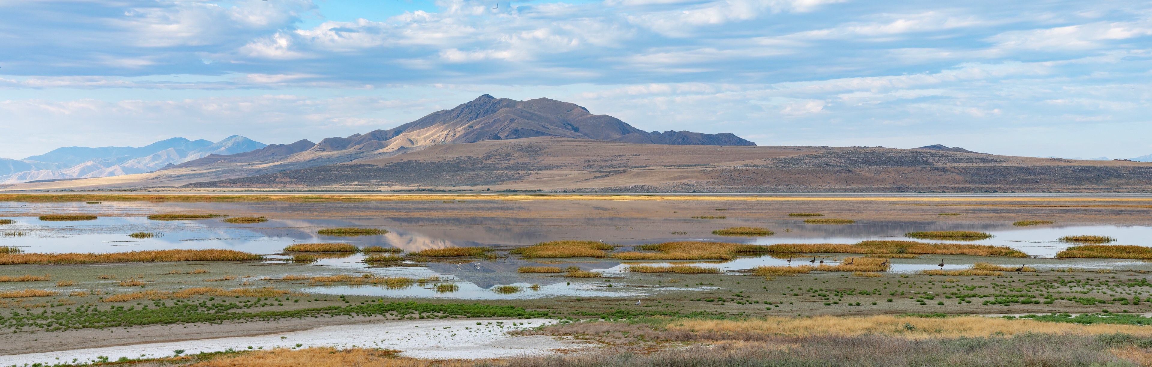 Antelope Island Causeway - Salt Lake City, Utah - 2025 - Pano