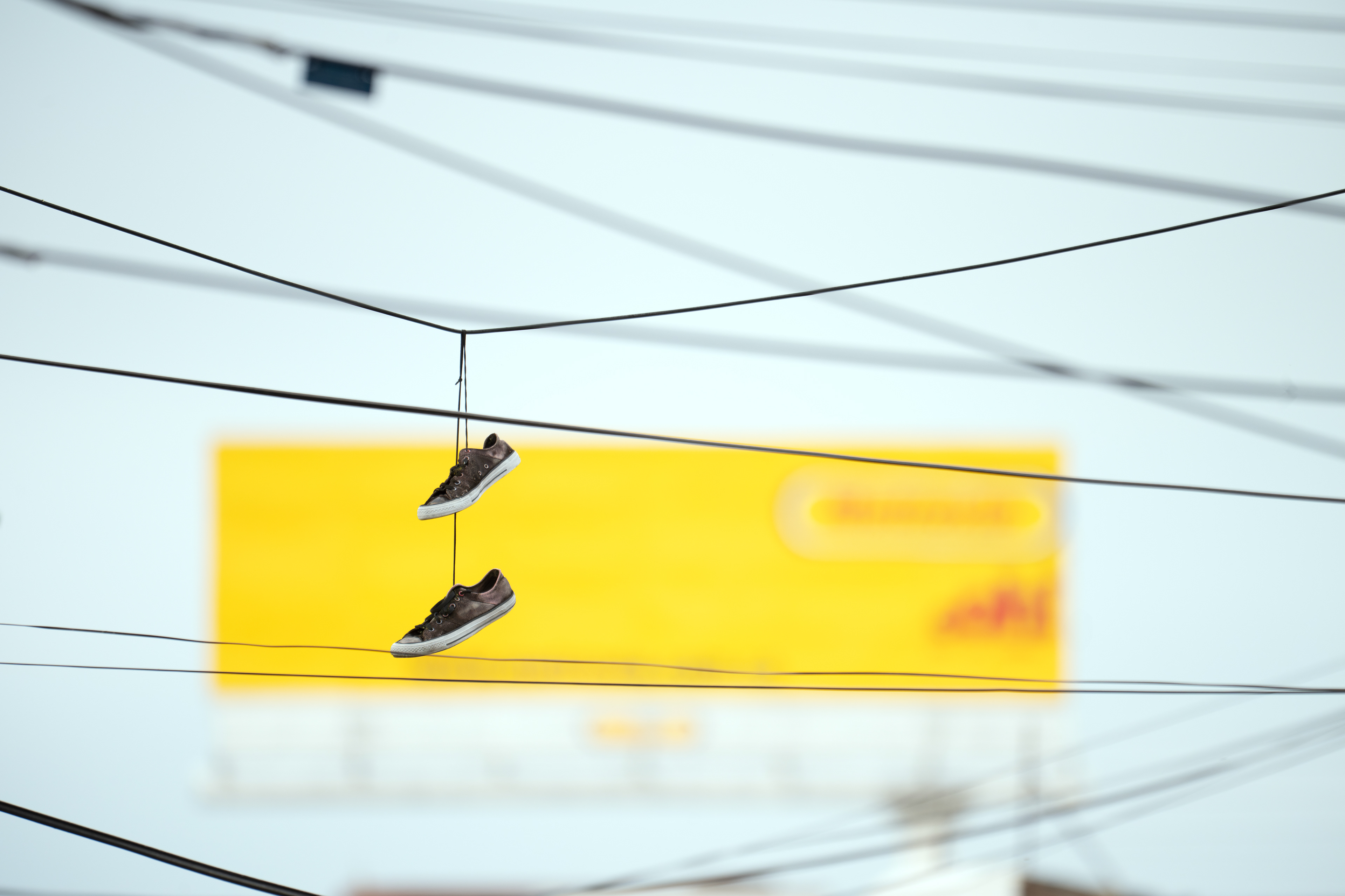 Scenes while Birding Cali - Colombia