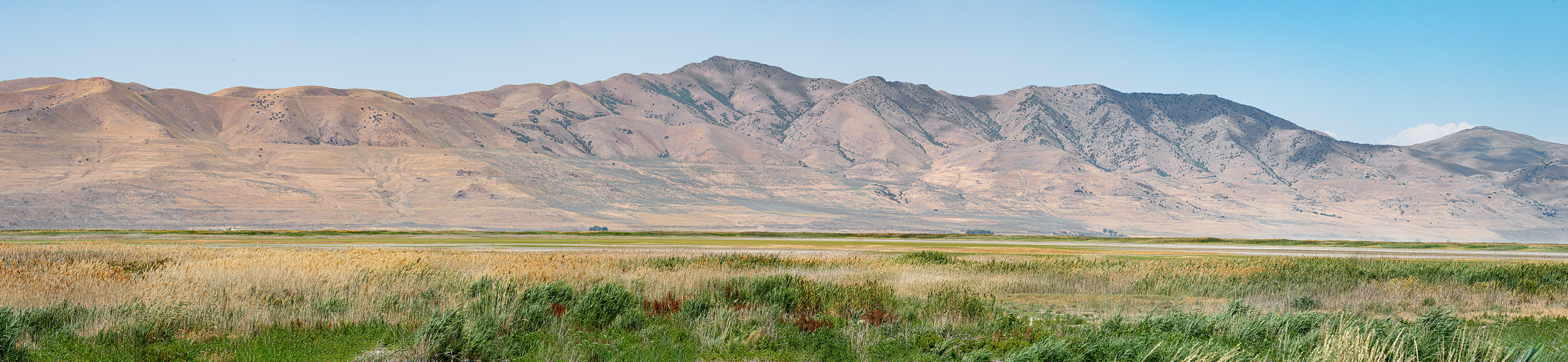 Bear River Migratory Bird Refuge - Box Elder County , Utah - Pano
