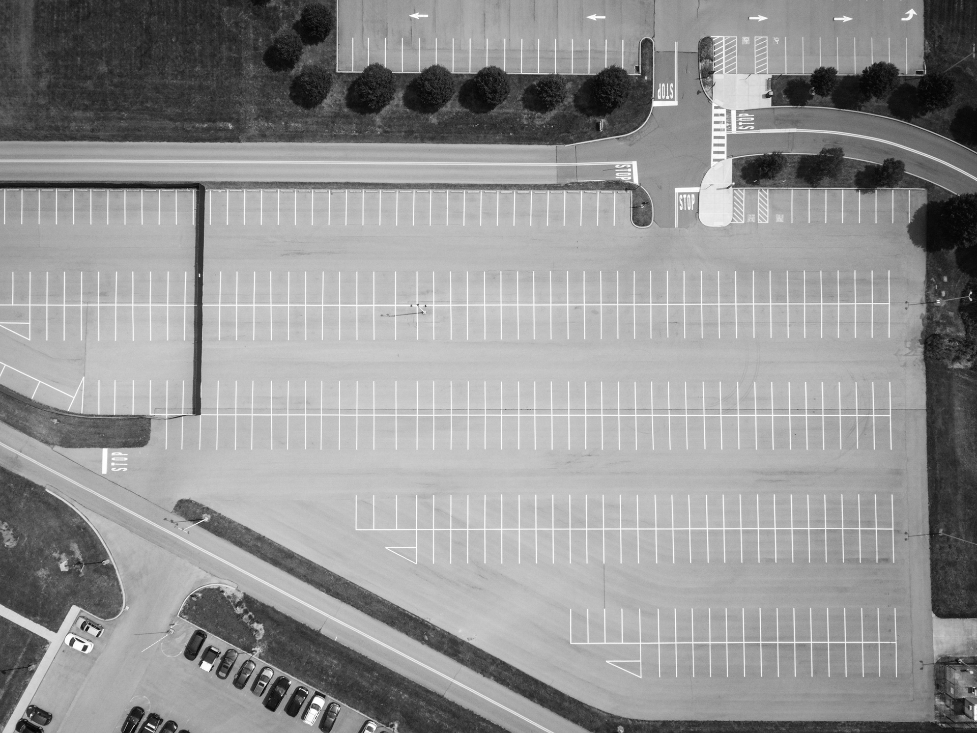 LINES