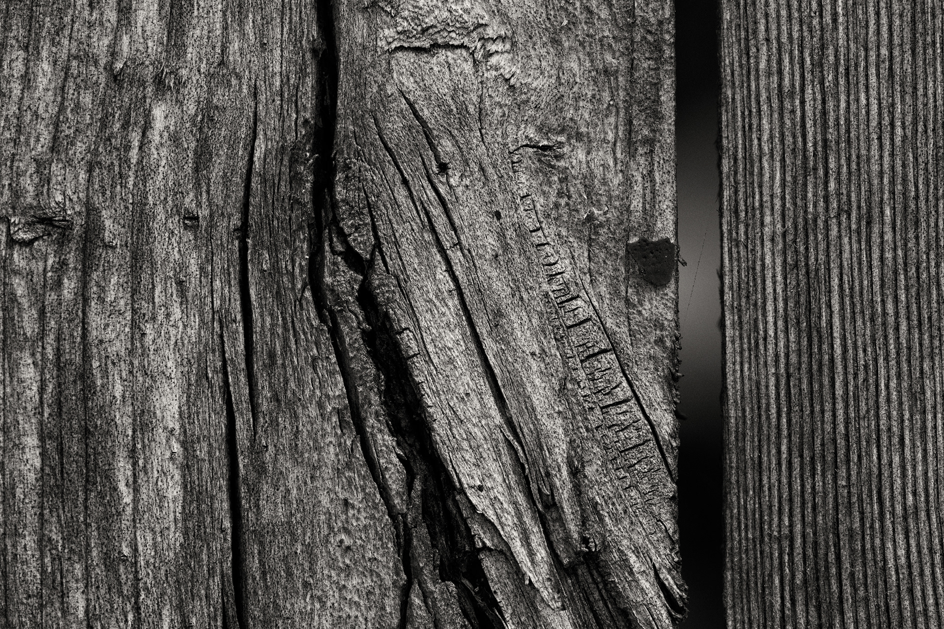 Wooden Fence - Self Promo