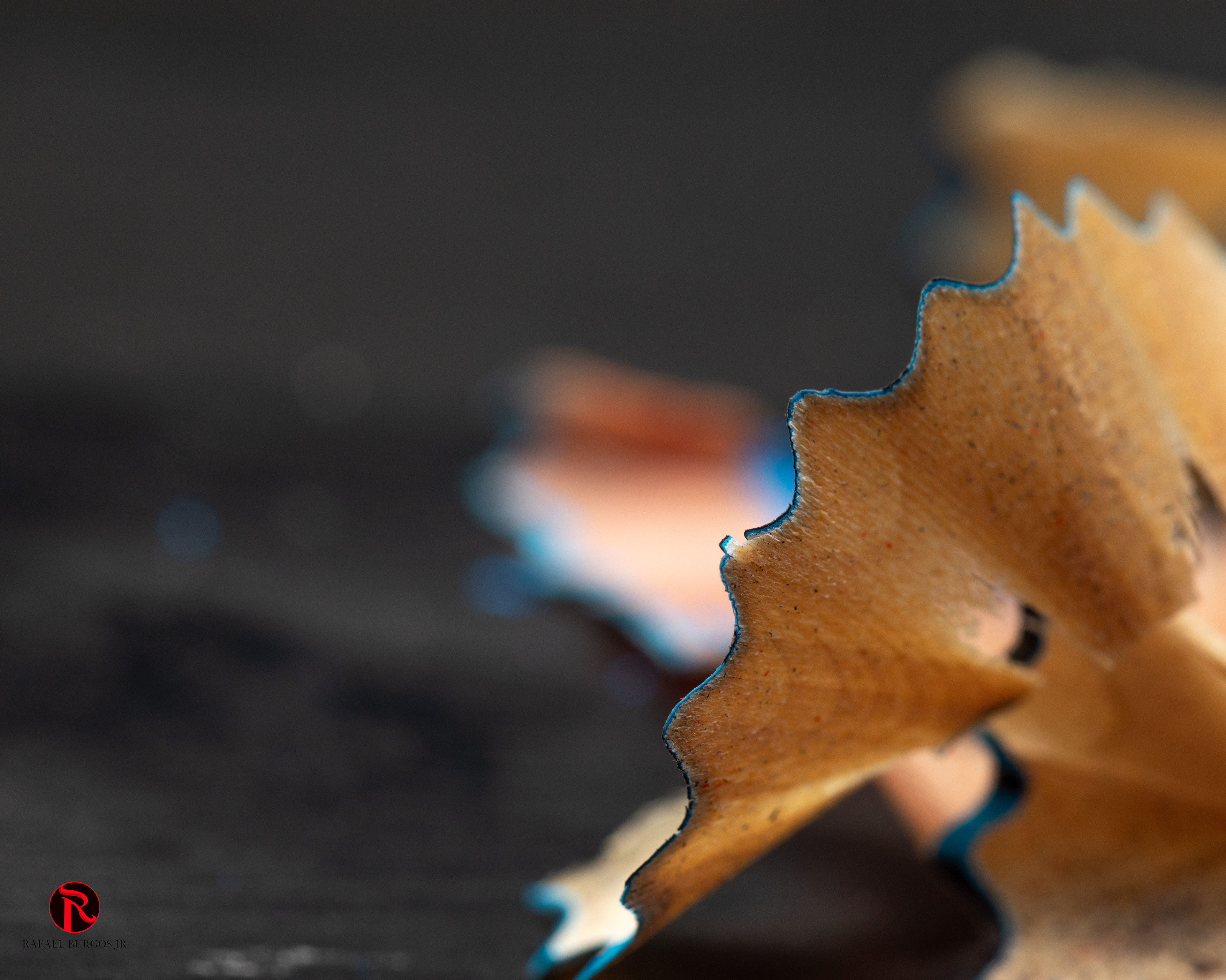 Macro Colored Pencil 1