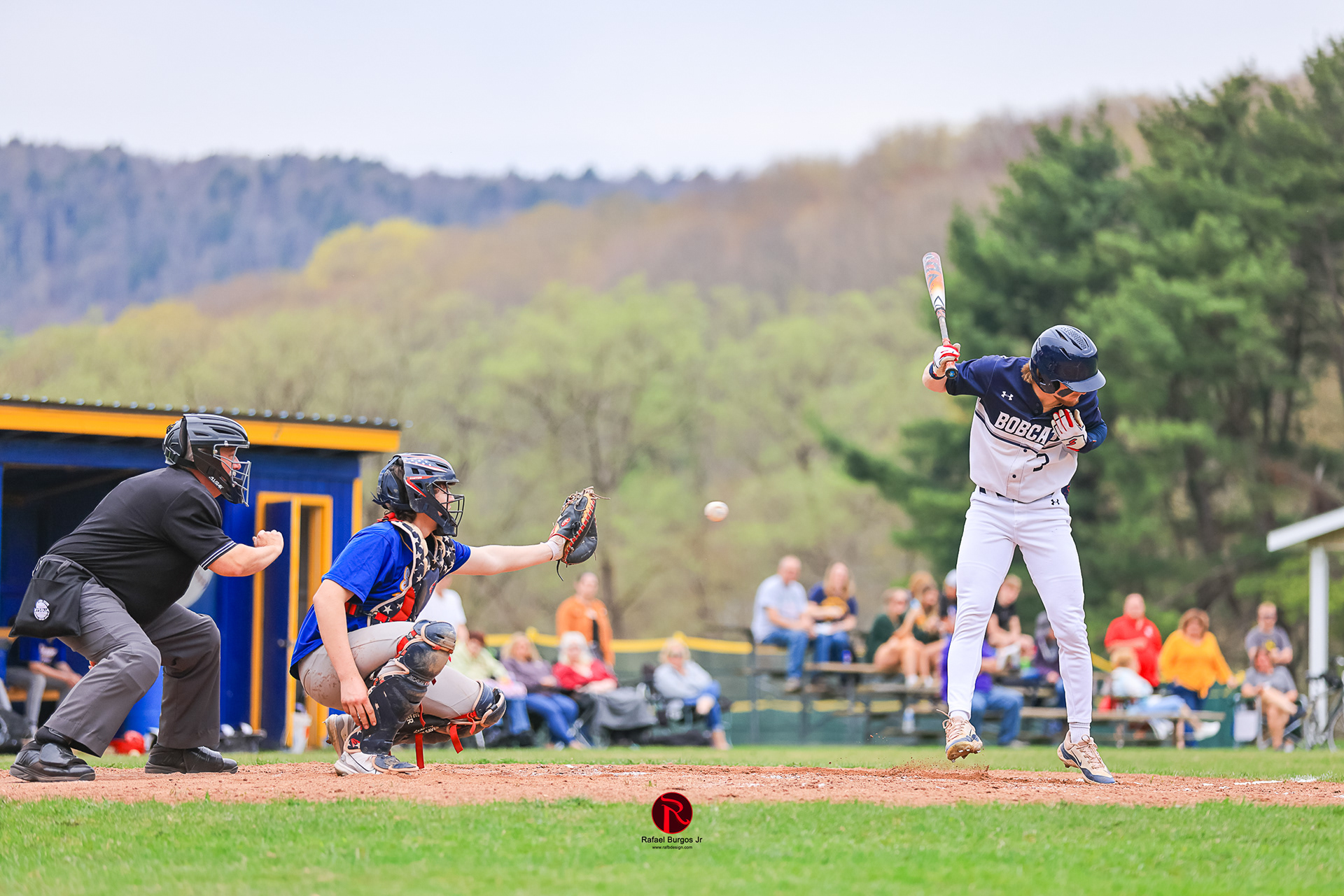 SCHENEVUS BASEBALL 2025