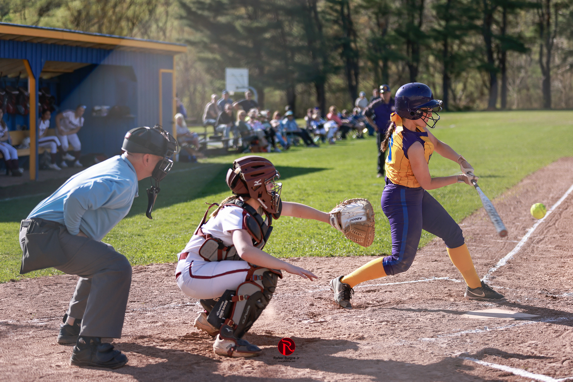 SCHENEVUS SOFTBALL 2025