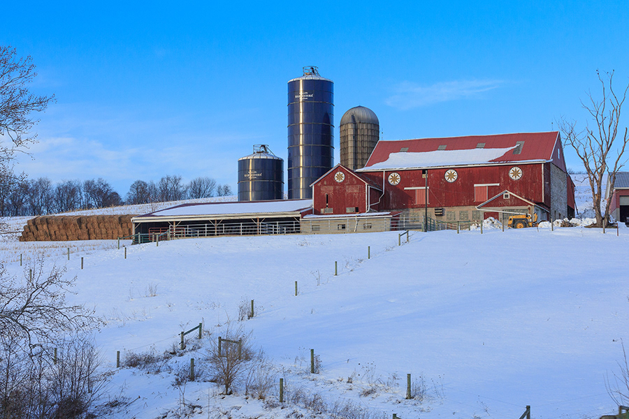 Red Barn - Self Promo