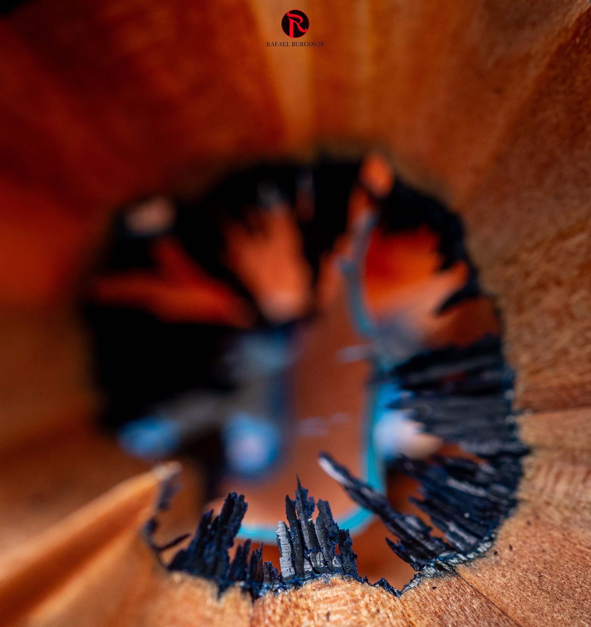 Macro Colored Pencil 2