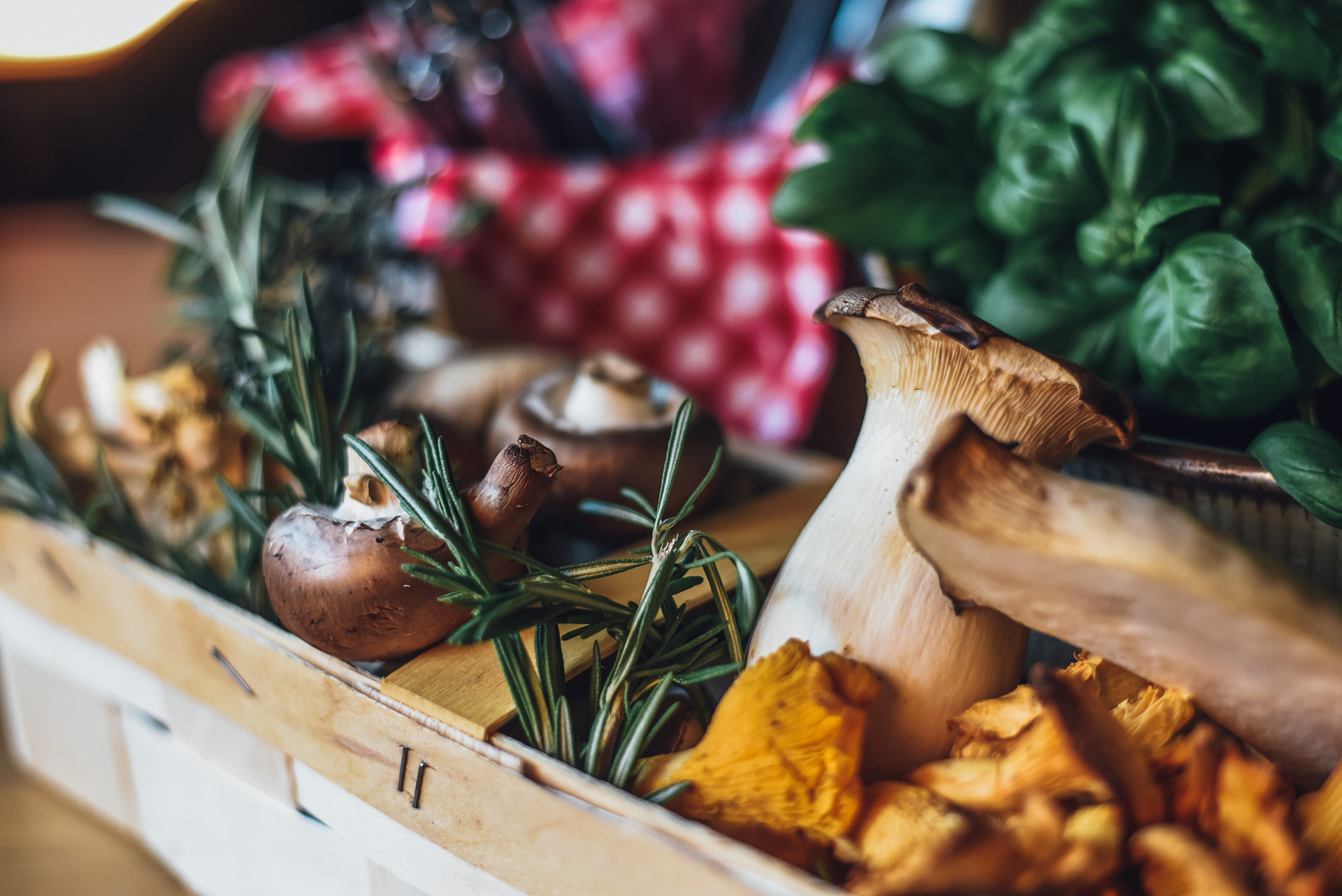 MERCATO RESTAURANT KÖLN