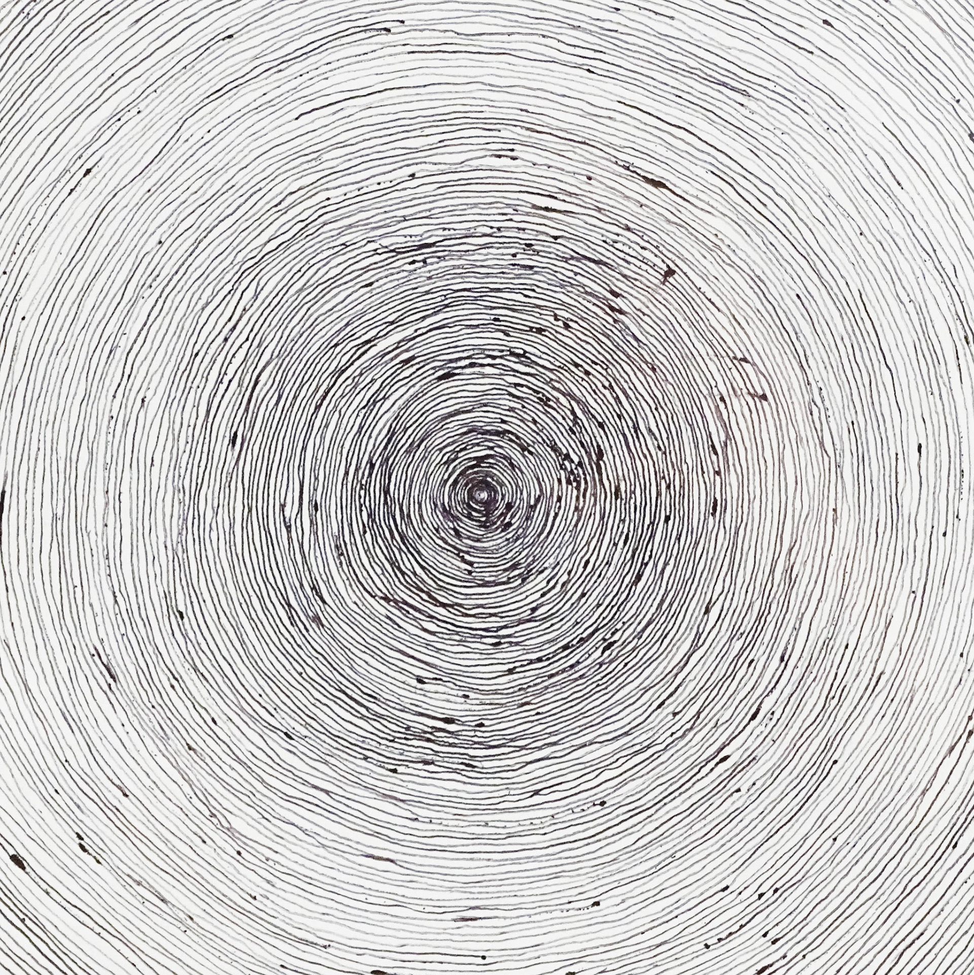 Cernes (détail), 2019 90 x 90 cm, stylo bille sur papier © Alexia Atmouni