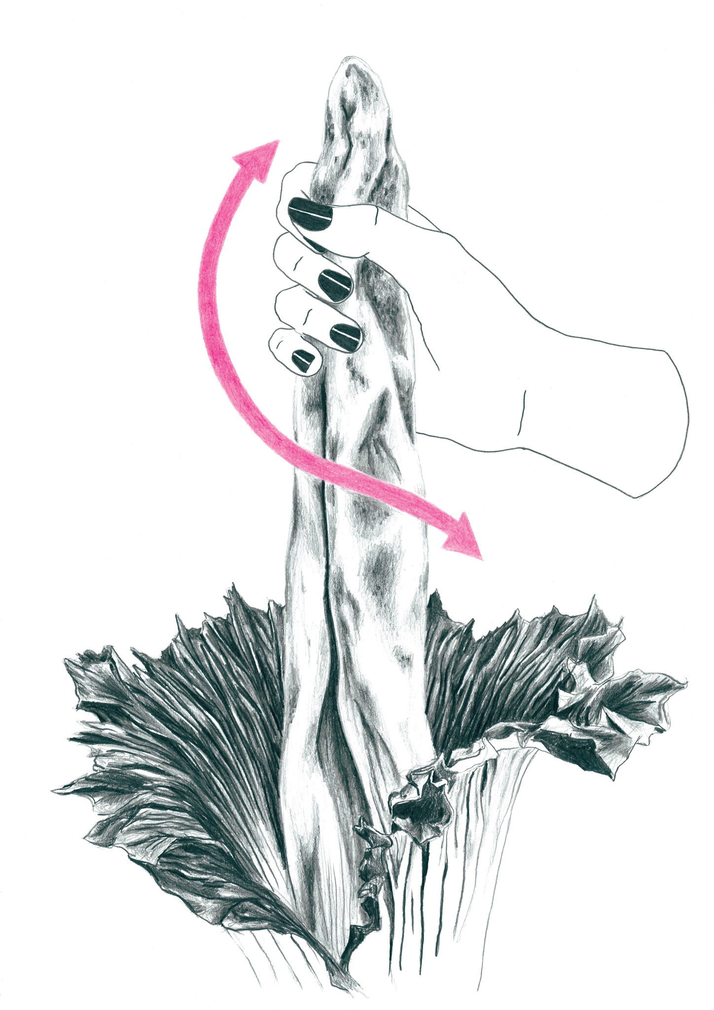 Sans titre, (série «Horti·cul·ture (clin d’oeil lubrique à Jousissance Club)»), 2019, graphite sur papier, 29,7 x 42 cm Dans la vie... ? © Alexia Atmouni
