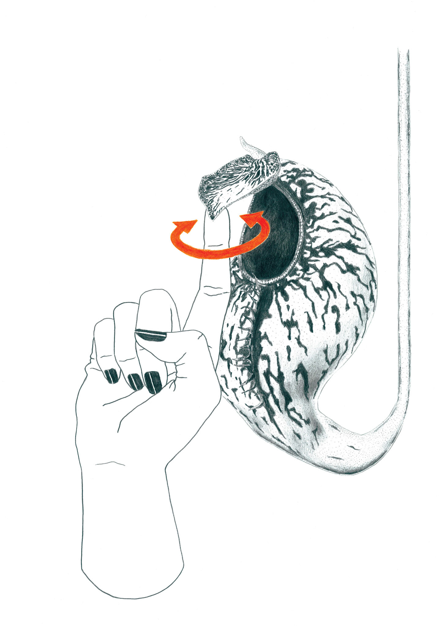 Sans titre, (série «Horti·cul·ture (clin d’oeil lubrique à Jousissance Club)»), 2019, graphite sur papier, 29,7 x 42 cm Dans la vie... ? © Alexia Atmouni