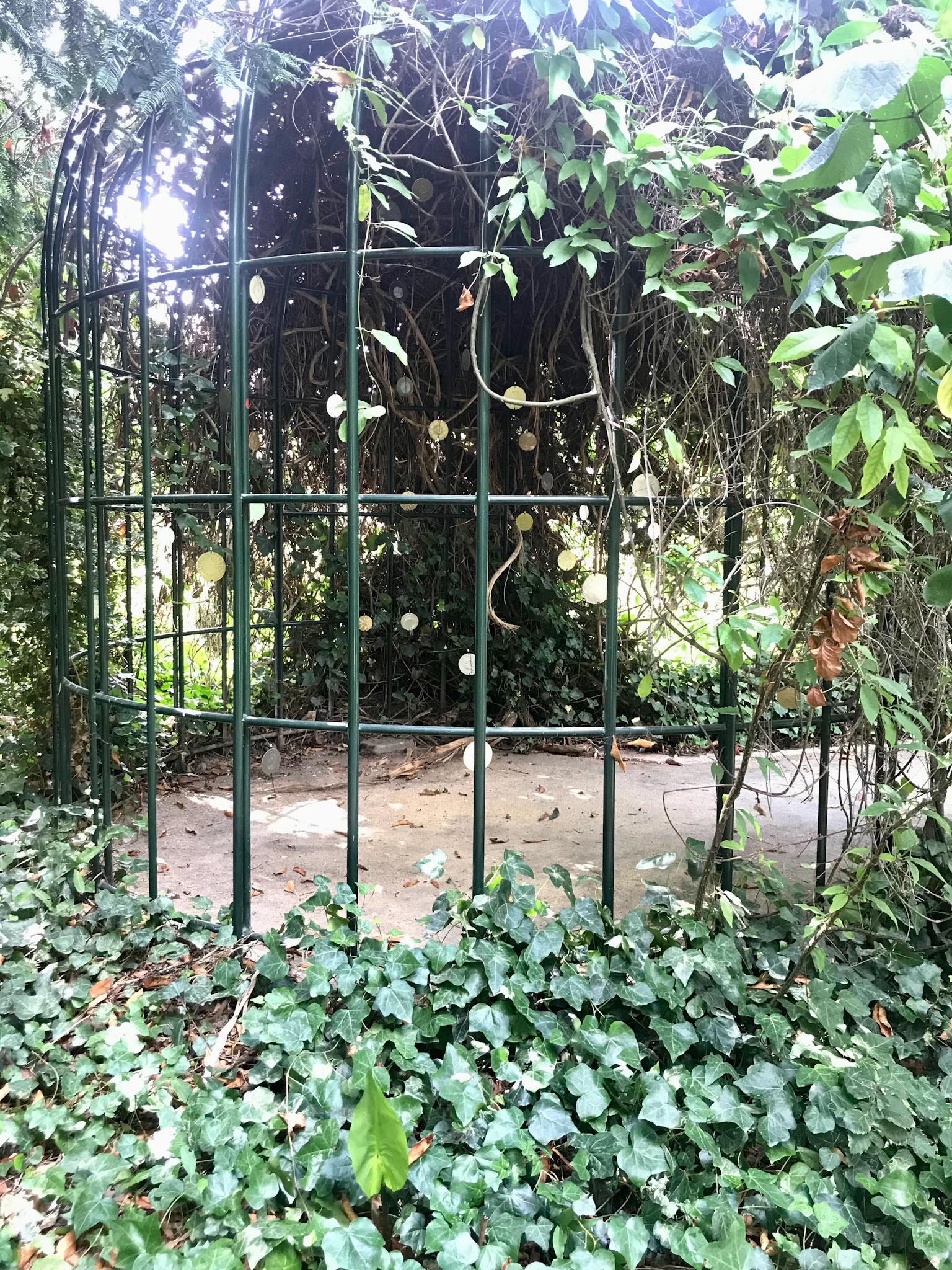 Shams wa qamar (prototype), 2021 gravure sur carton, Ø 8cm chaque thaumatrope, Jardin du Museum de La Rochelle © Alexia Atmouni